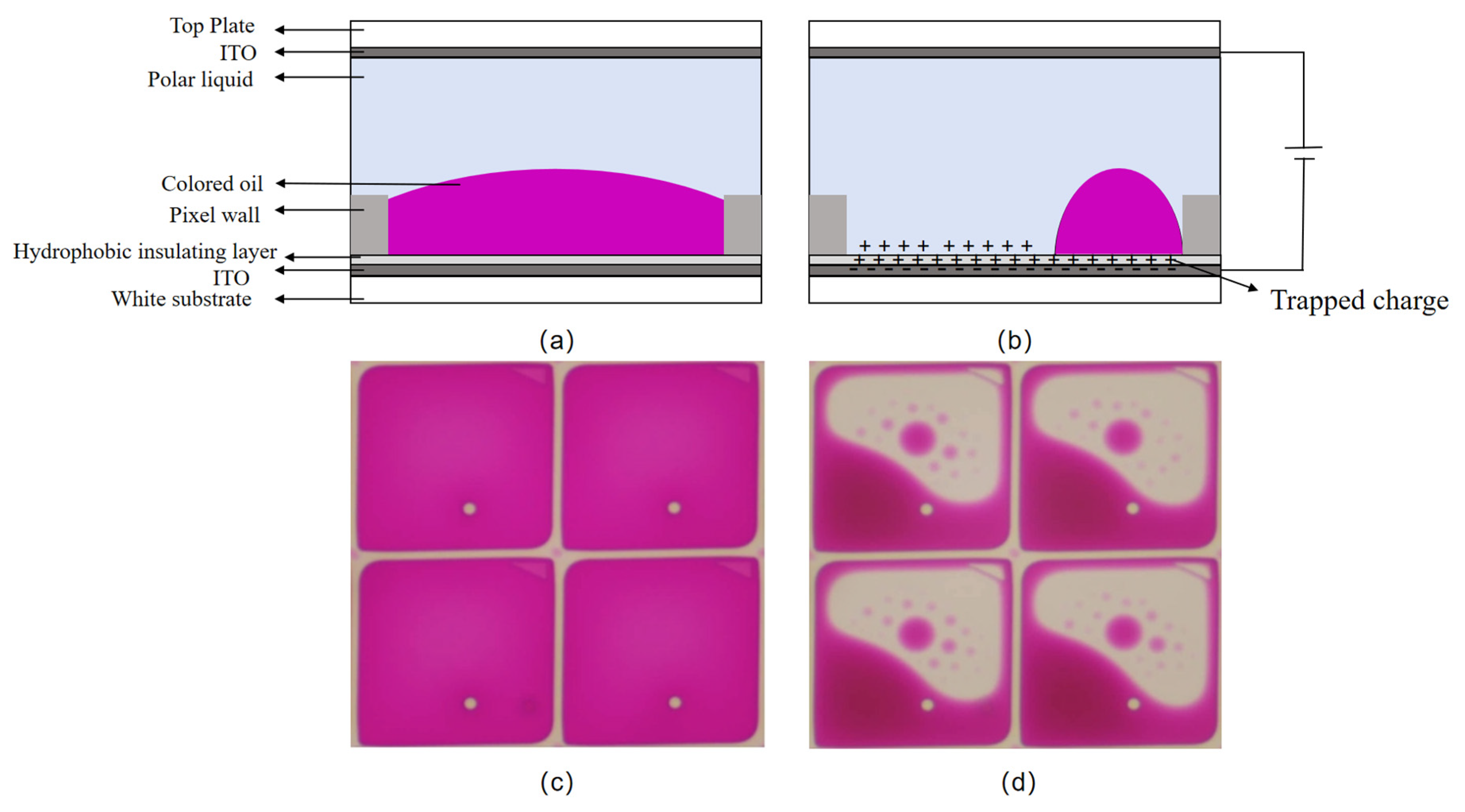 Micromachines 16 01085 g001
