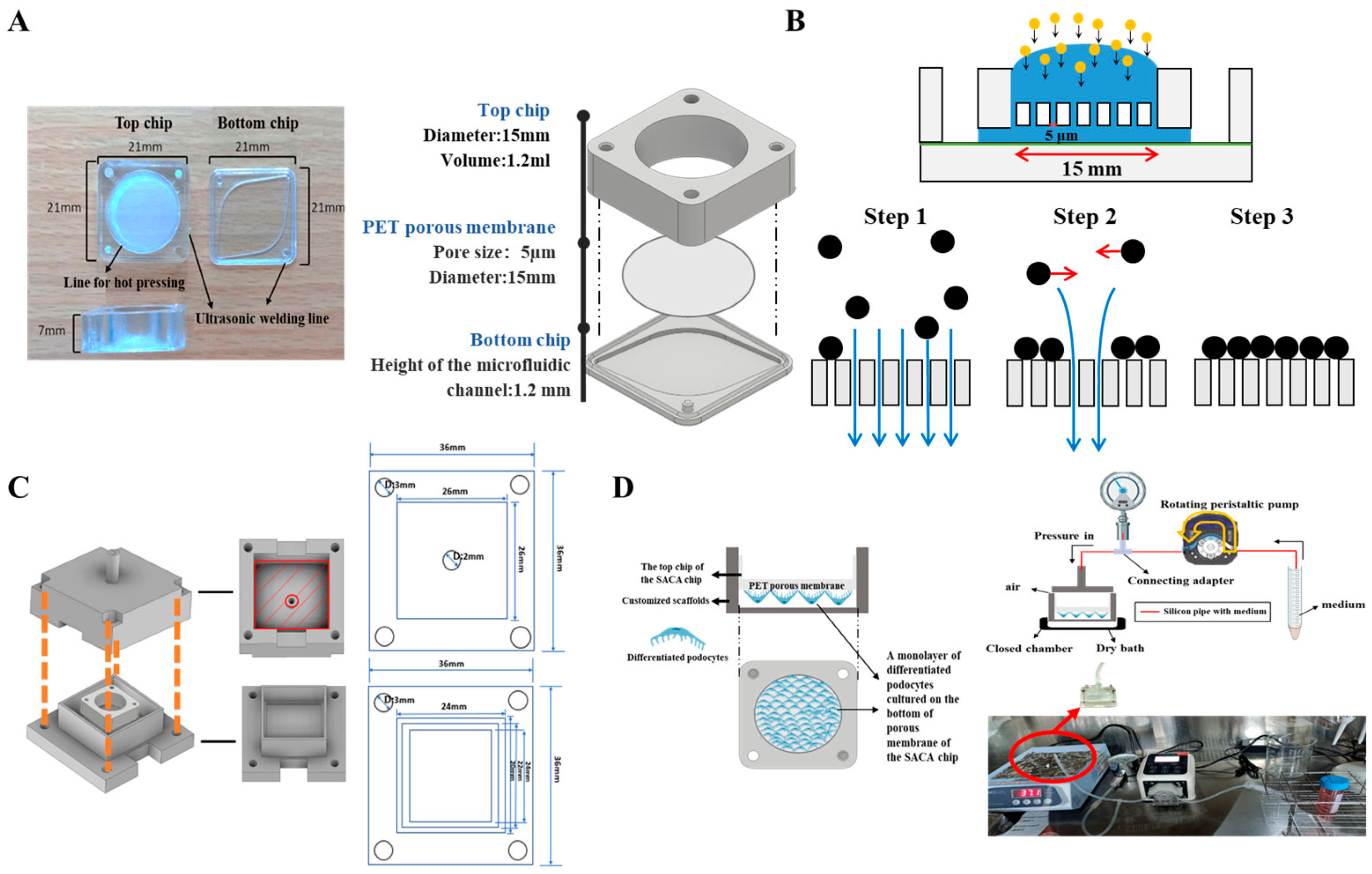 Micromachines 16 01097 g001