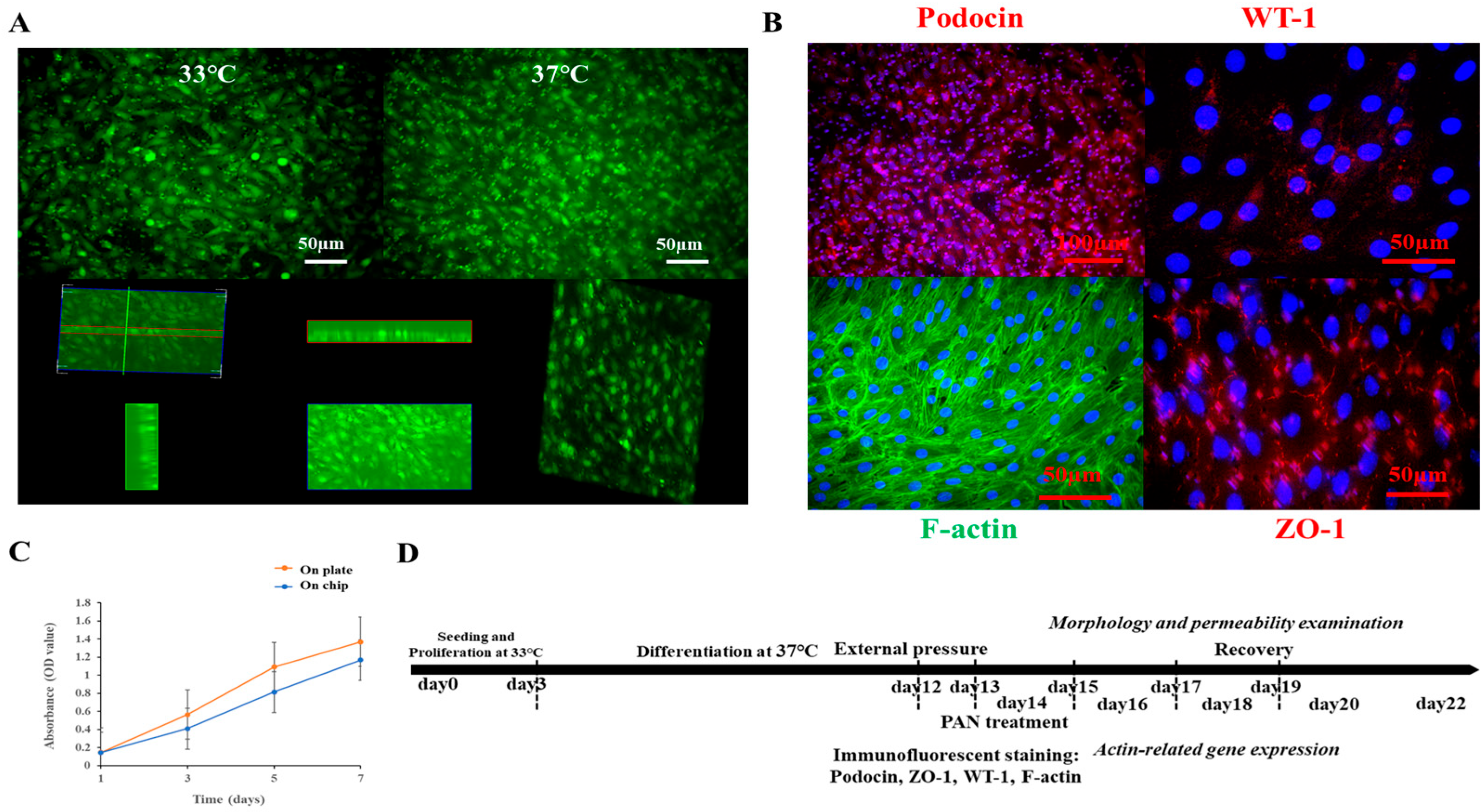 Micromachines 16 01097 g002