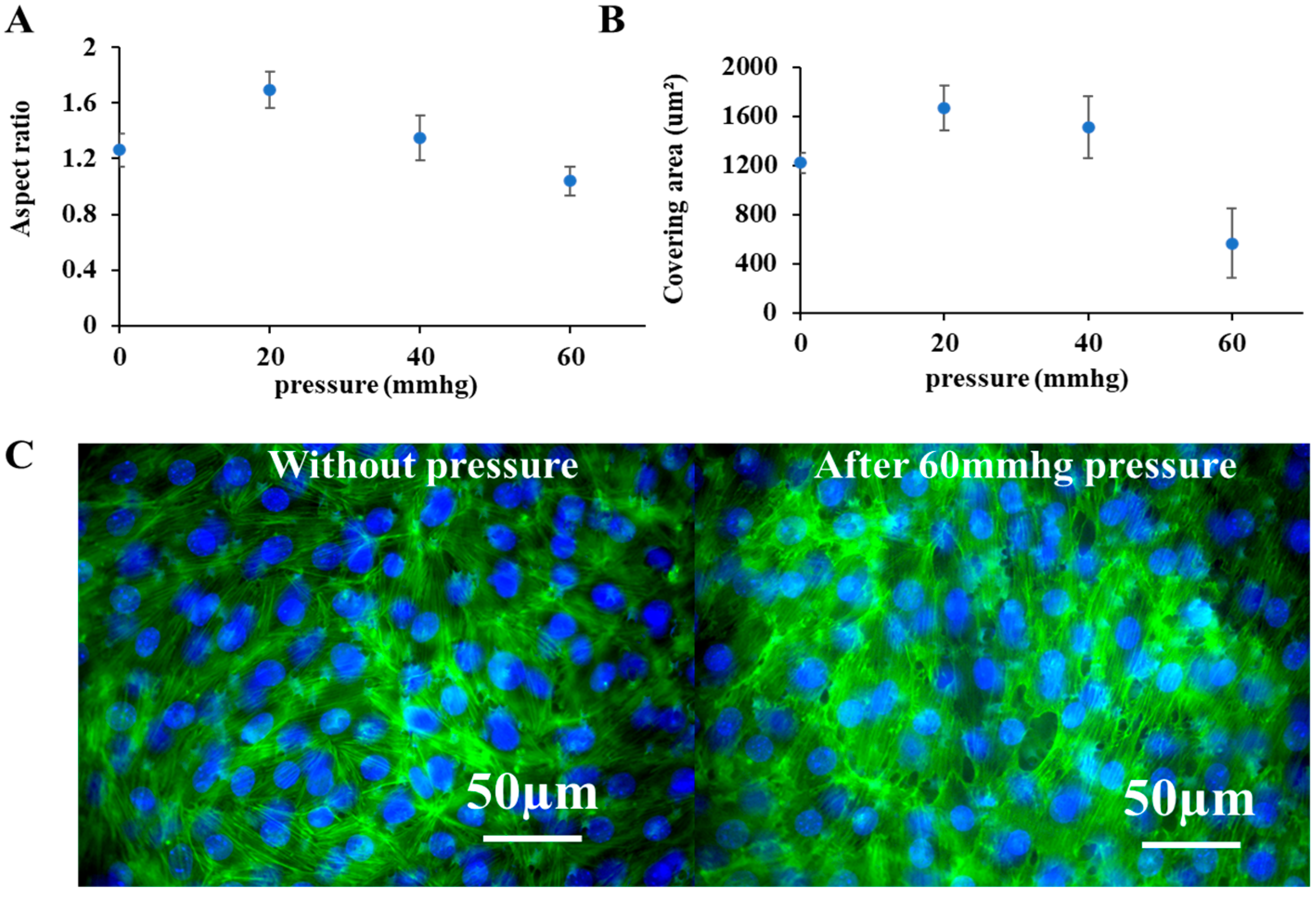 Micromachines 16 01097 g003