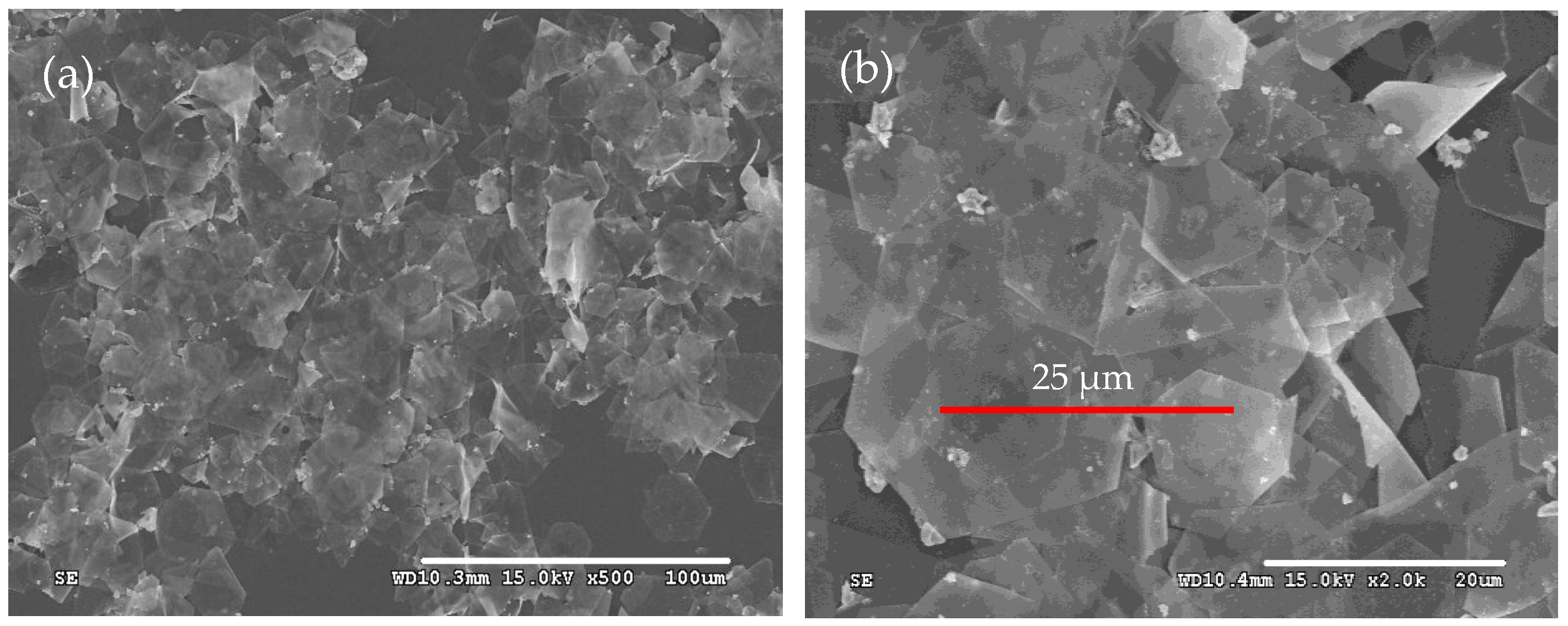 Micromachines 16 01103 g001
