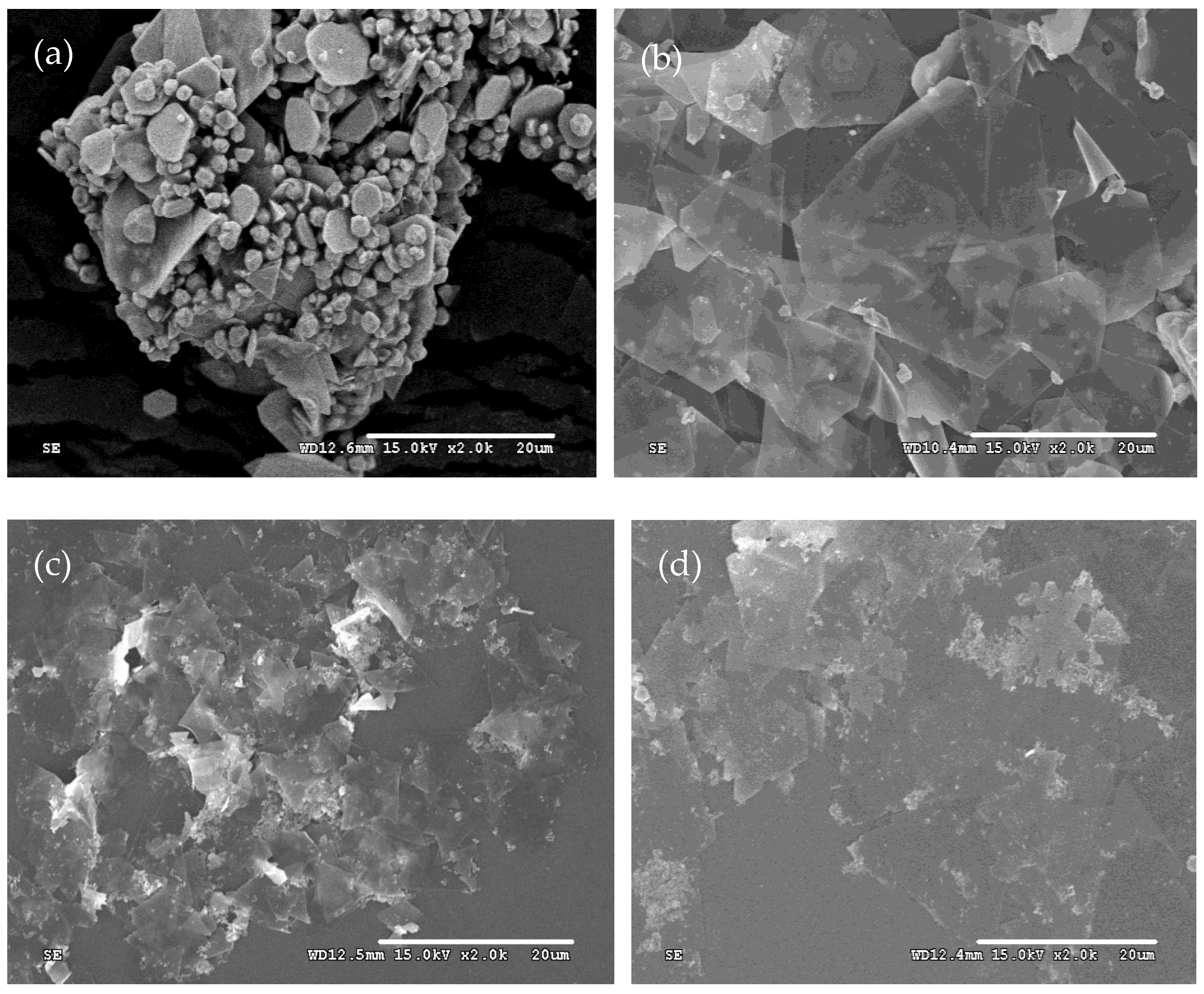 Micromachines 16 01103 g006