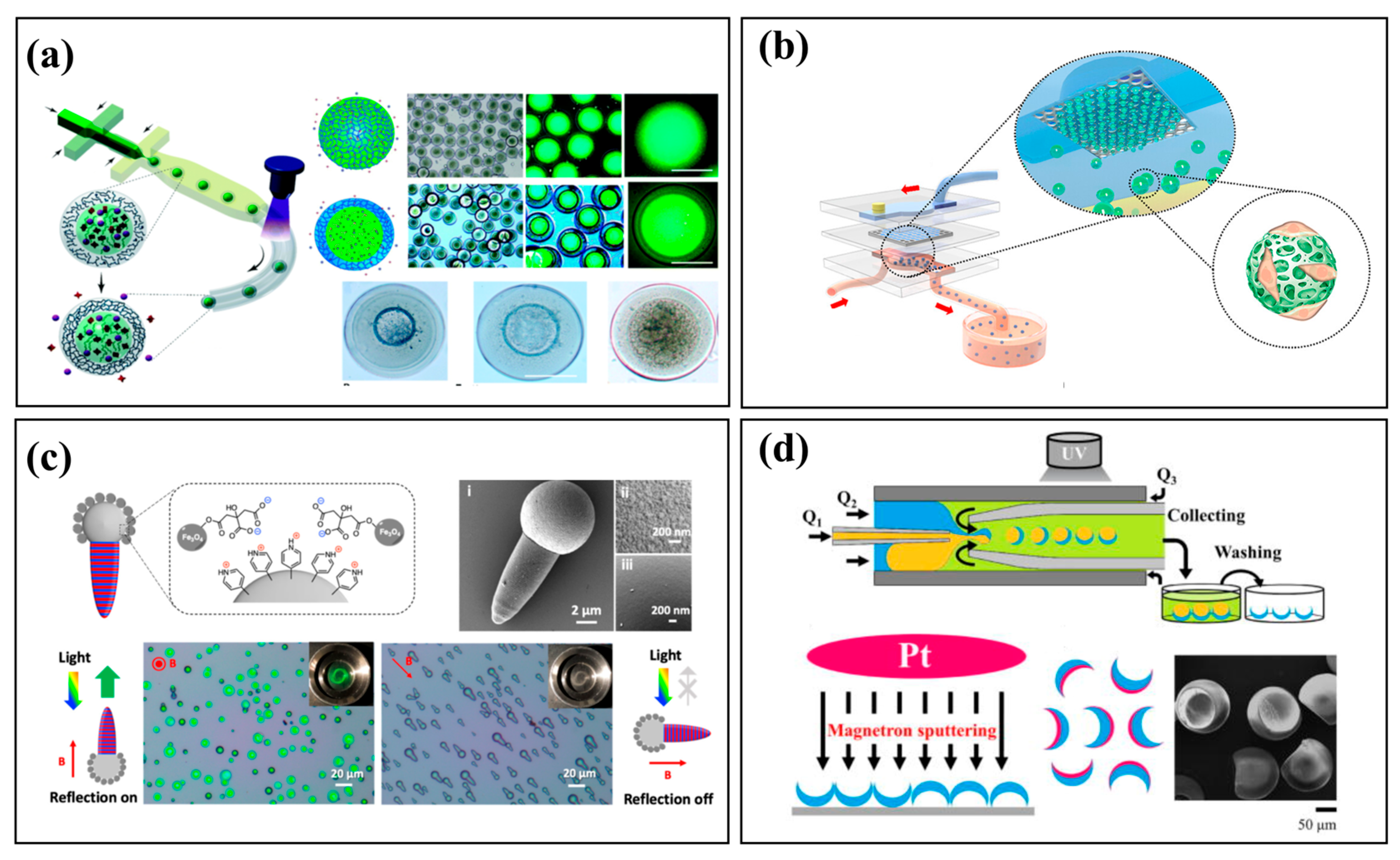 Micromachines 16 01106 g004