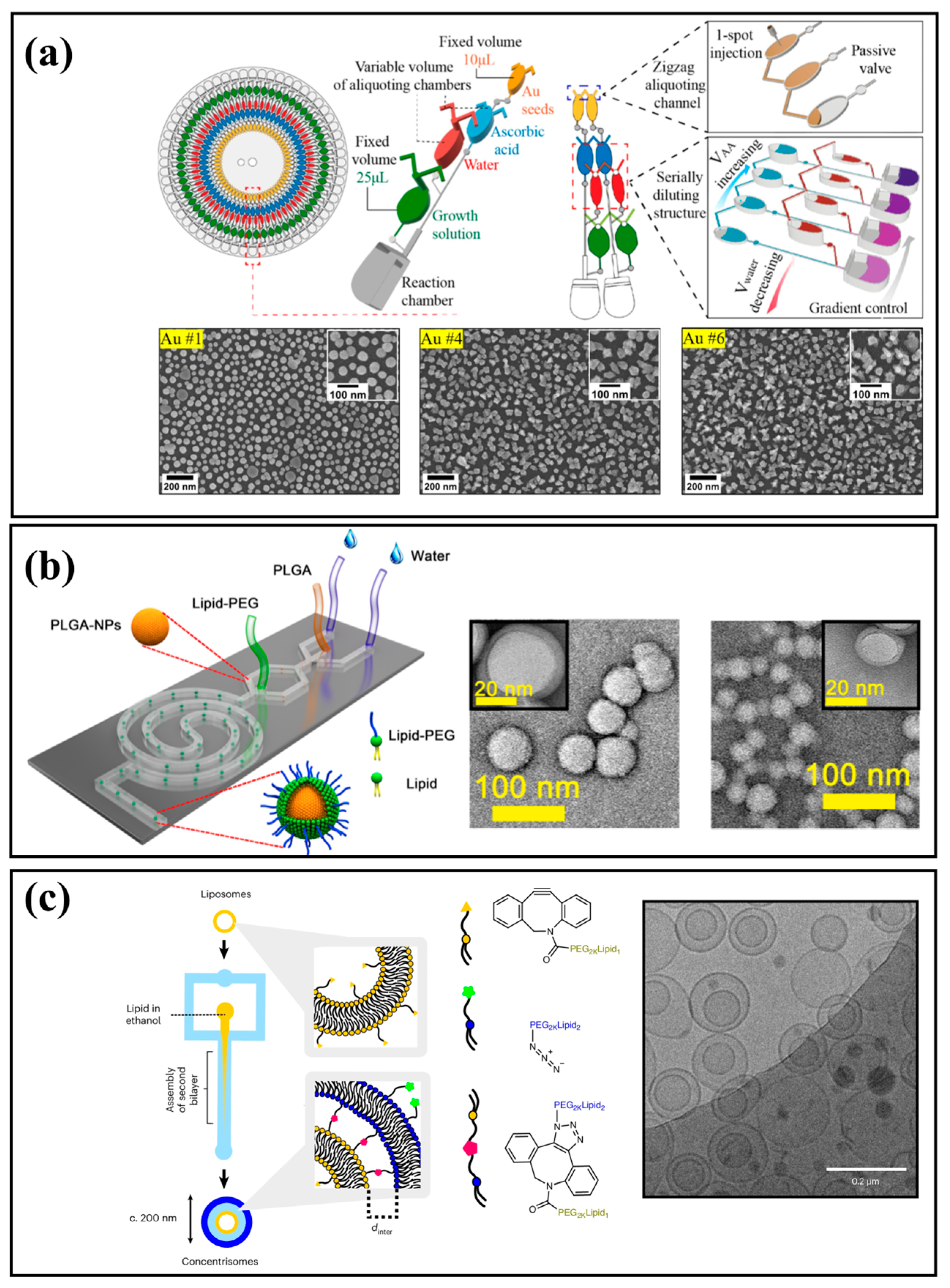 Micromachines 16 01106 g005