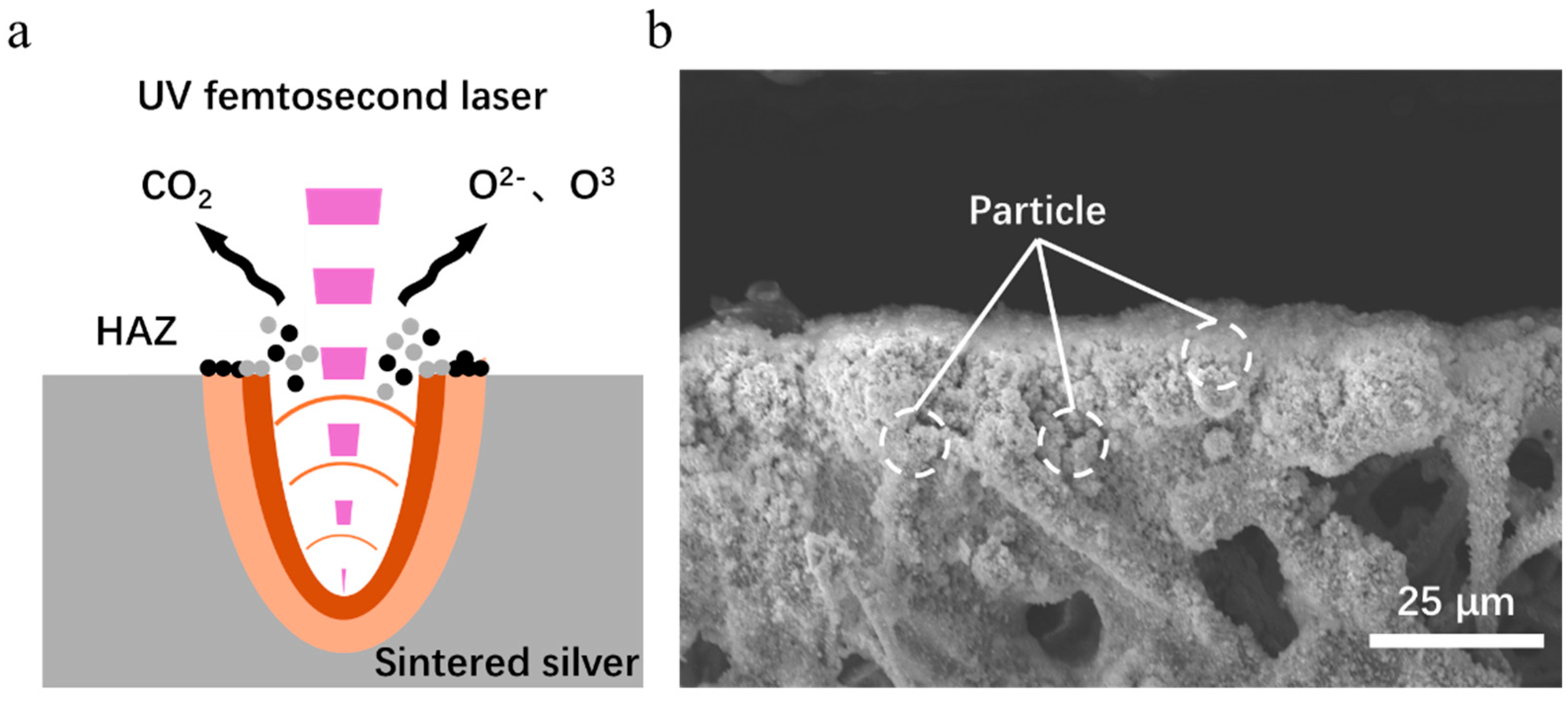 Micromachines 16 01107 g014