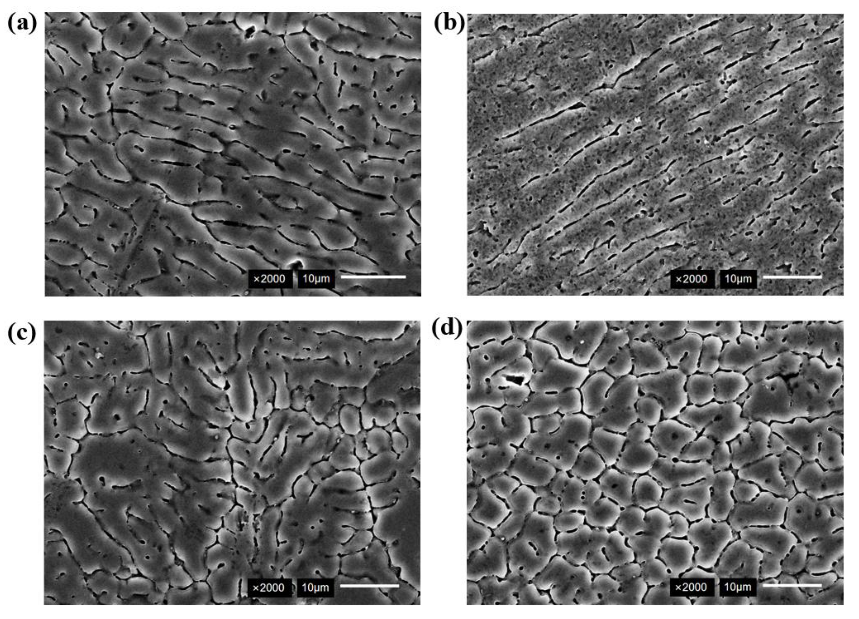 Micromachines 16 01118 g007 Micromachines 16 01118 g007