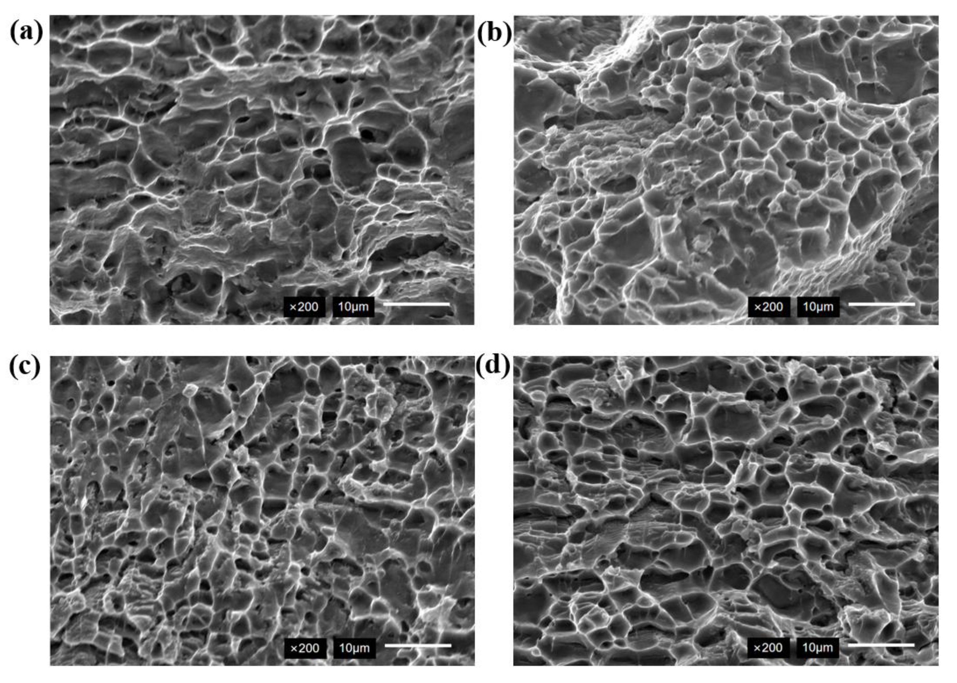 Micromachines 16 01118 g013 Micromachines 16 01118 g013