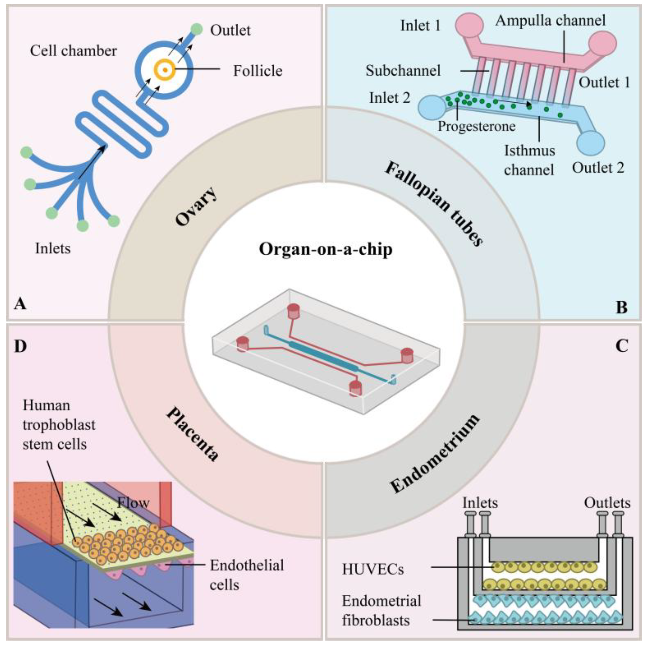 Micromachines 16 01125 g001
