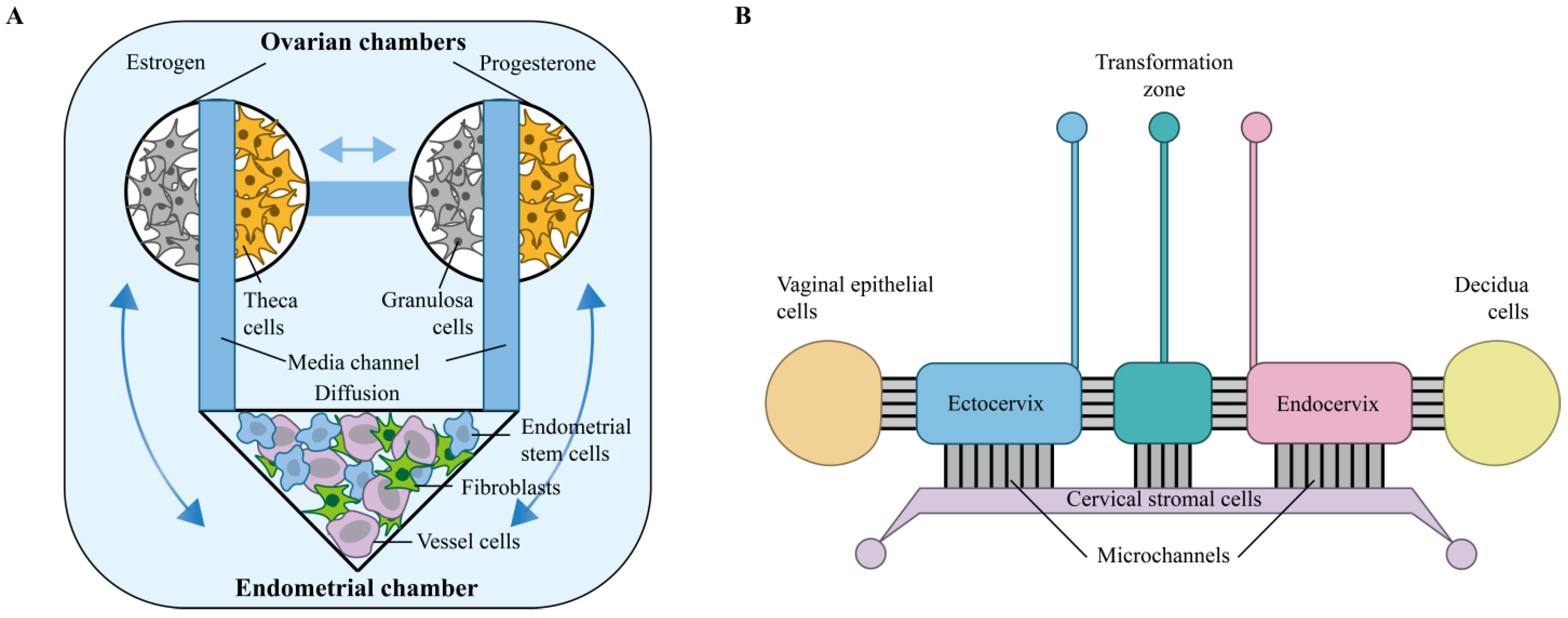 Micromachines 16 01125 g002