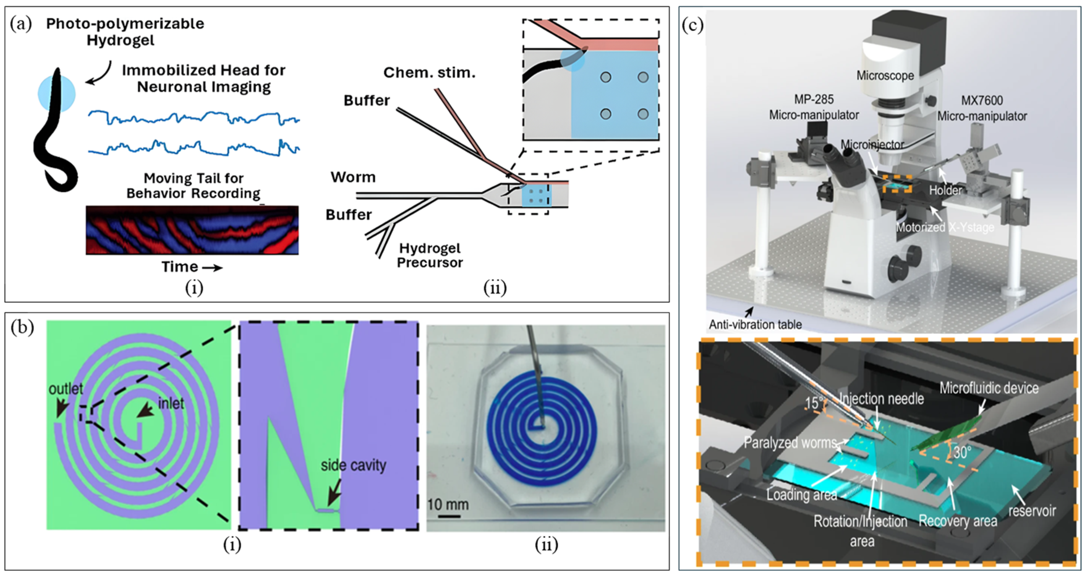 Micromachines 16 01138 g001