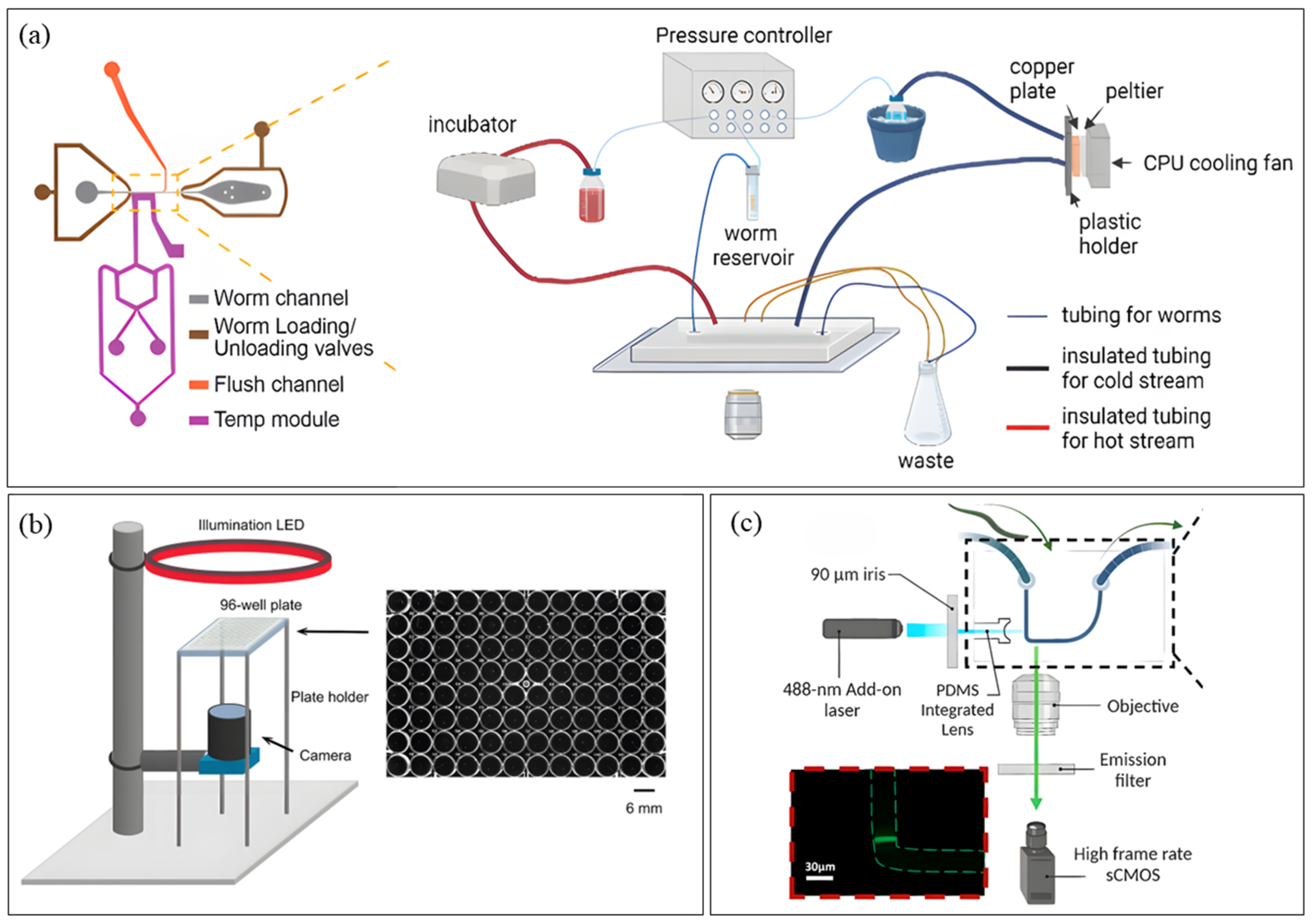 Micromachines 16 01138 g002