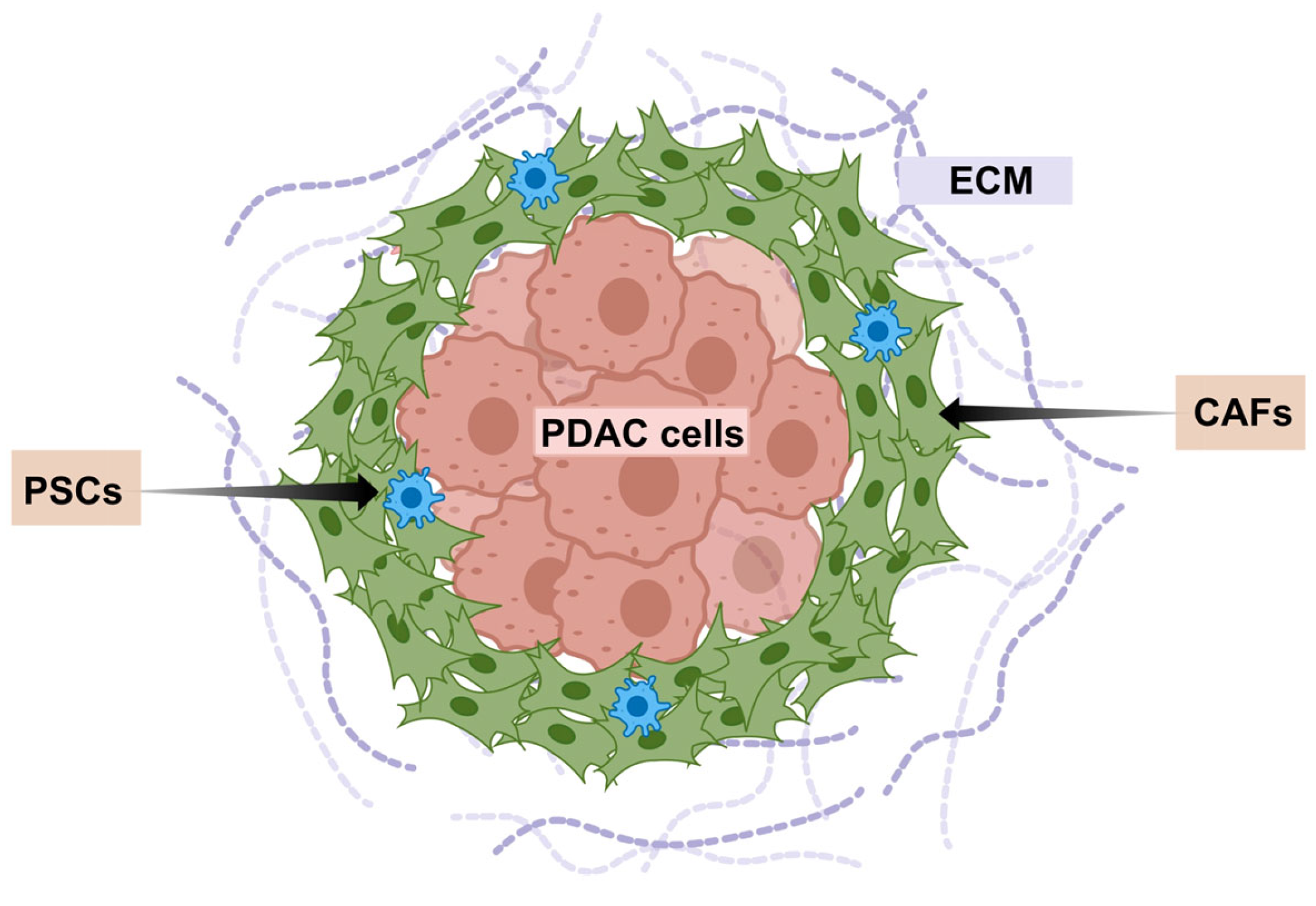 Micromachines 16 01140 g001 Micromachines 16 01140 g001