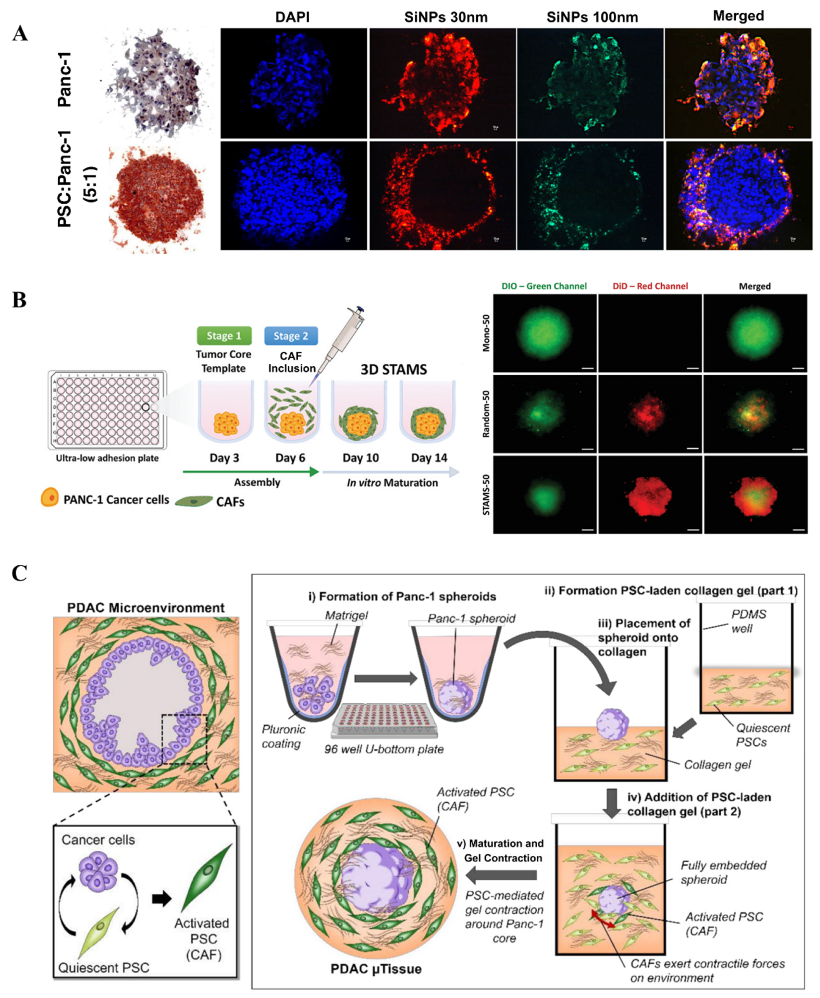 Micromachines 16 01140 g002 Micromachines 16 01140 g002