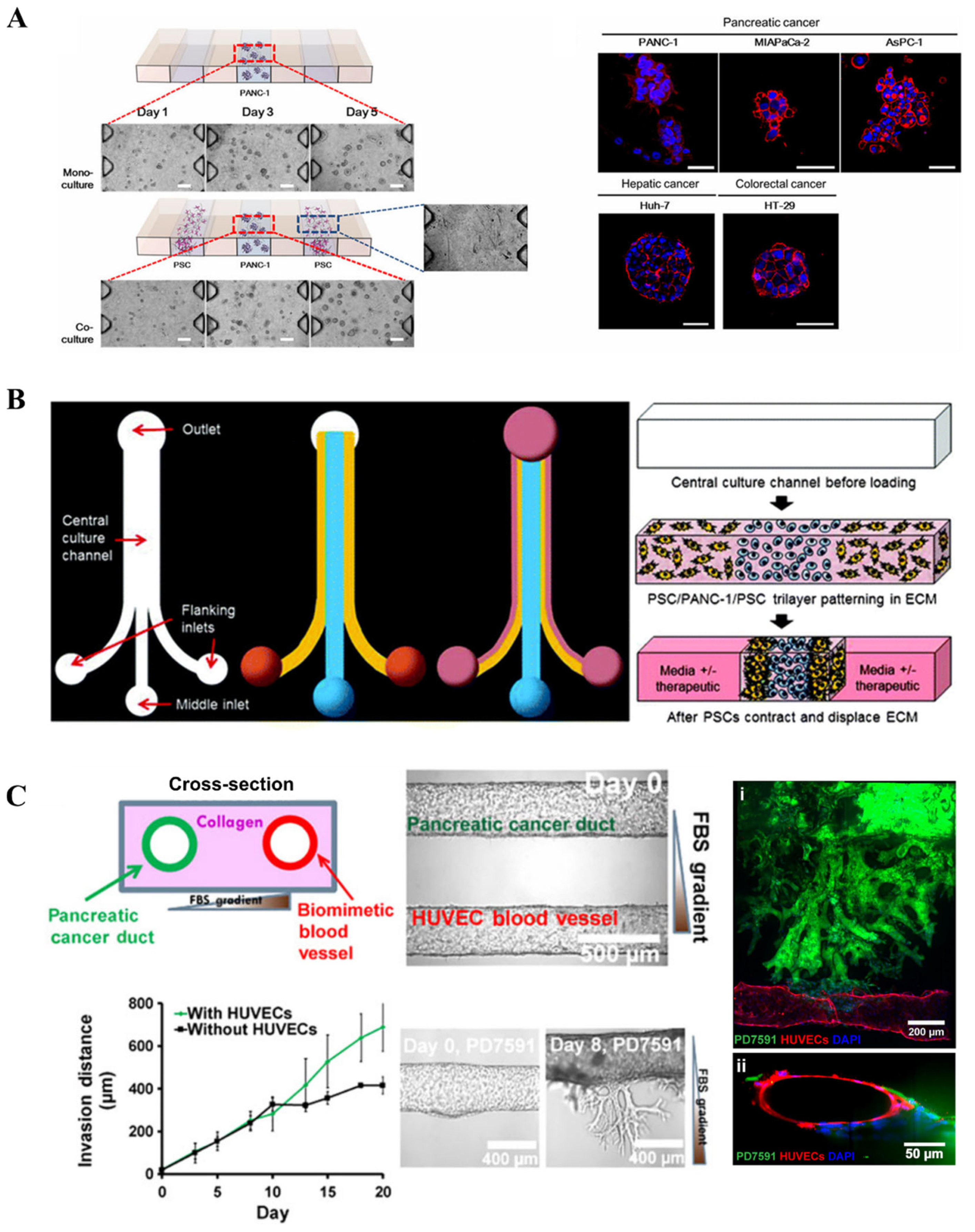 Micromachines 16 01140 g003 Micromachines 16 01140 g003
