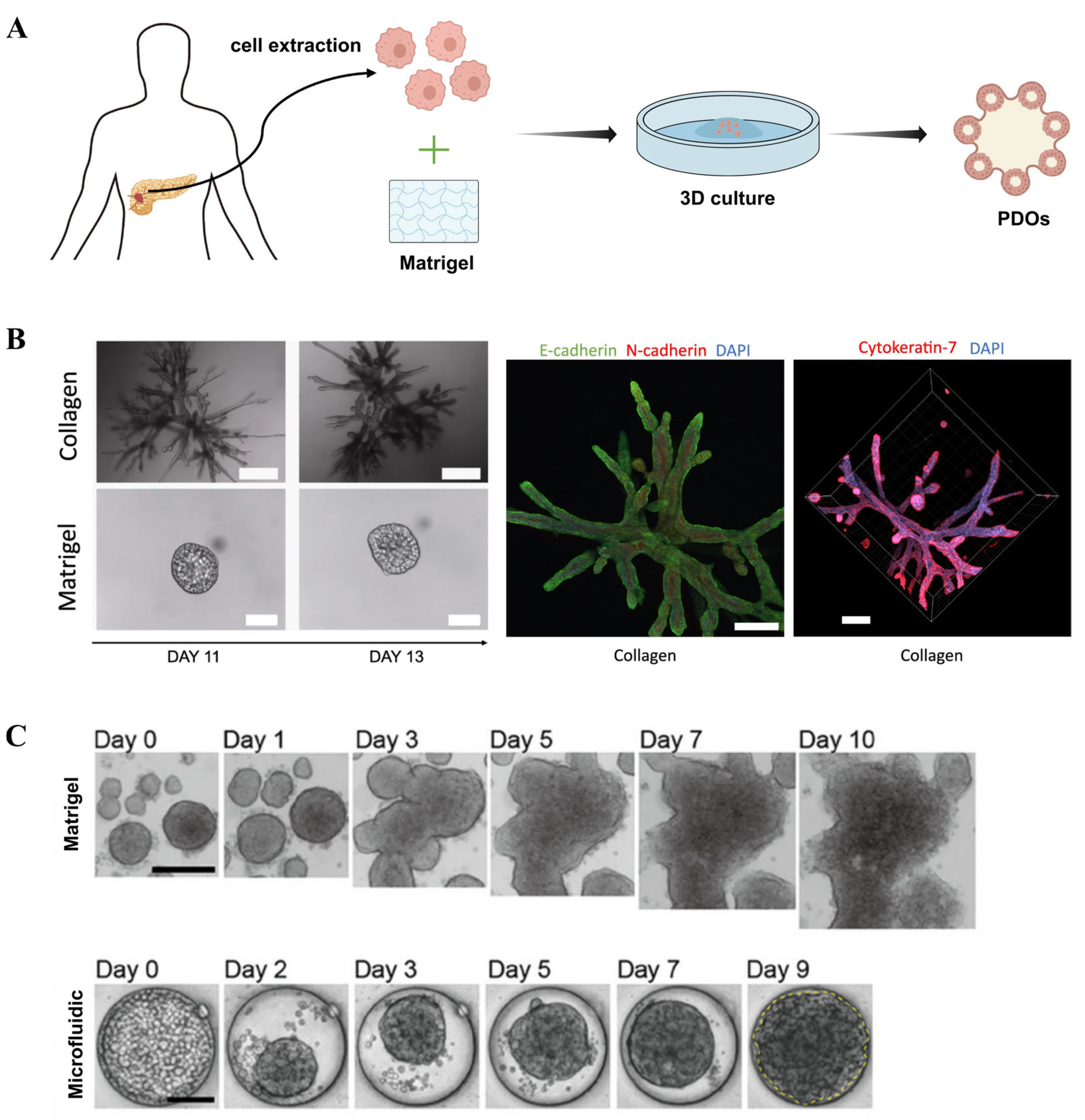 Micromachines 16 01140 g005 Micromachines 16 01140 g005
