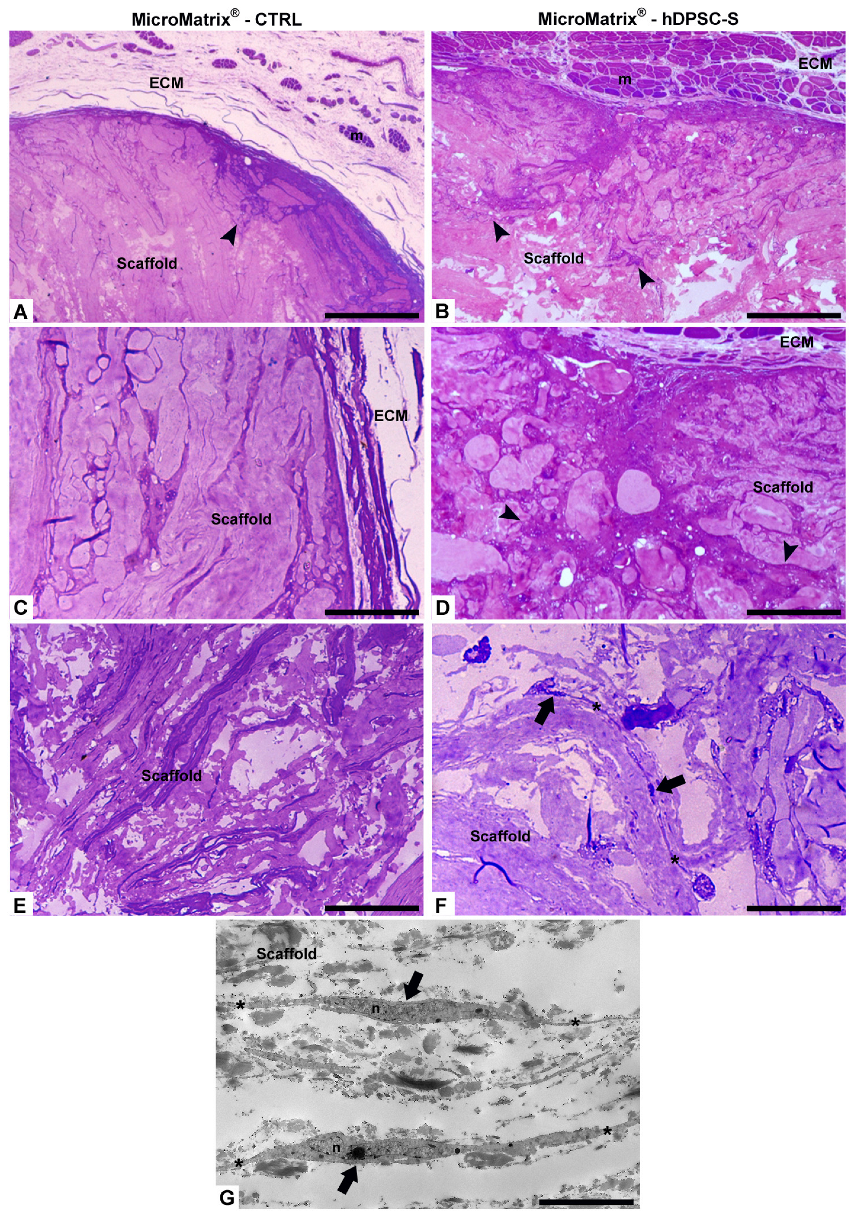 Micromachines 16 01150 g003 Micromachines 16 01150 g003