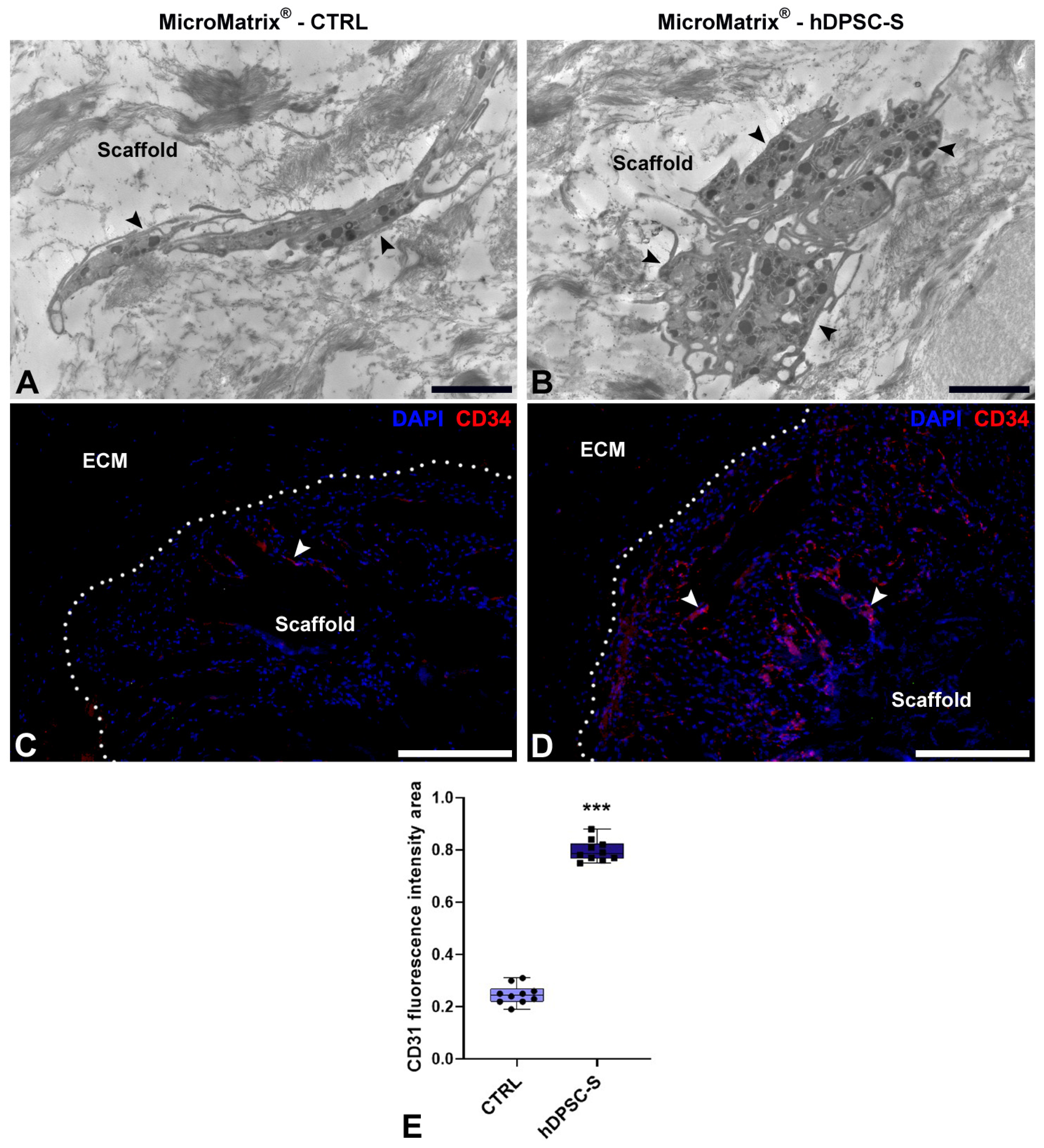 Micromachines 16 01150 g005 Micromachines 16 01150 g005