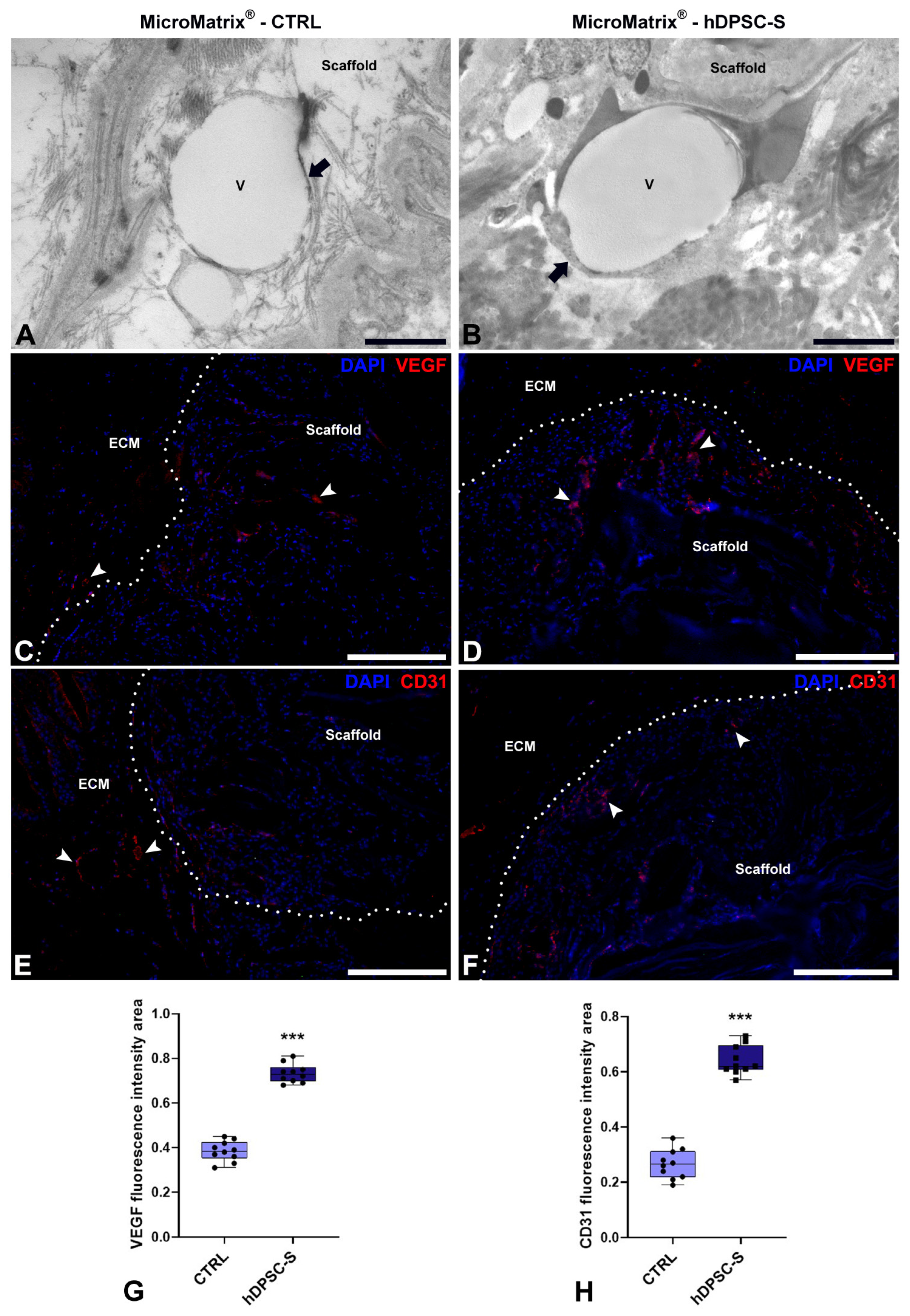 Micromachines 16 01150 g006 Micromachines 16 01150 g006