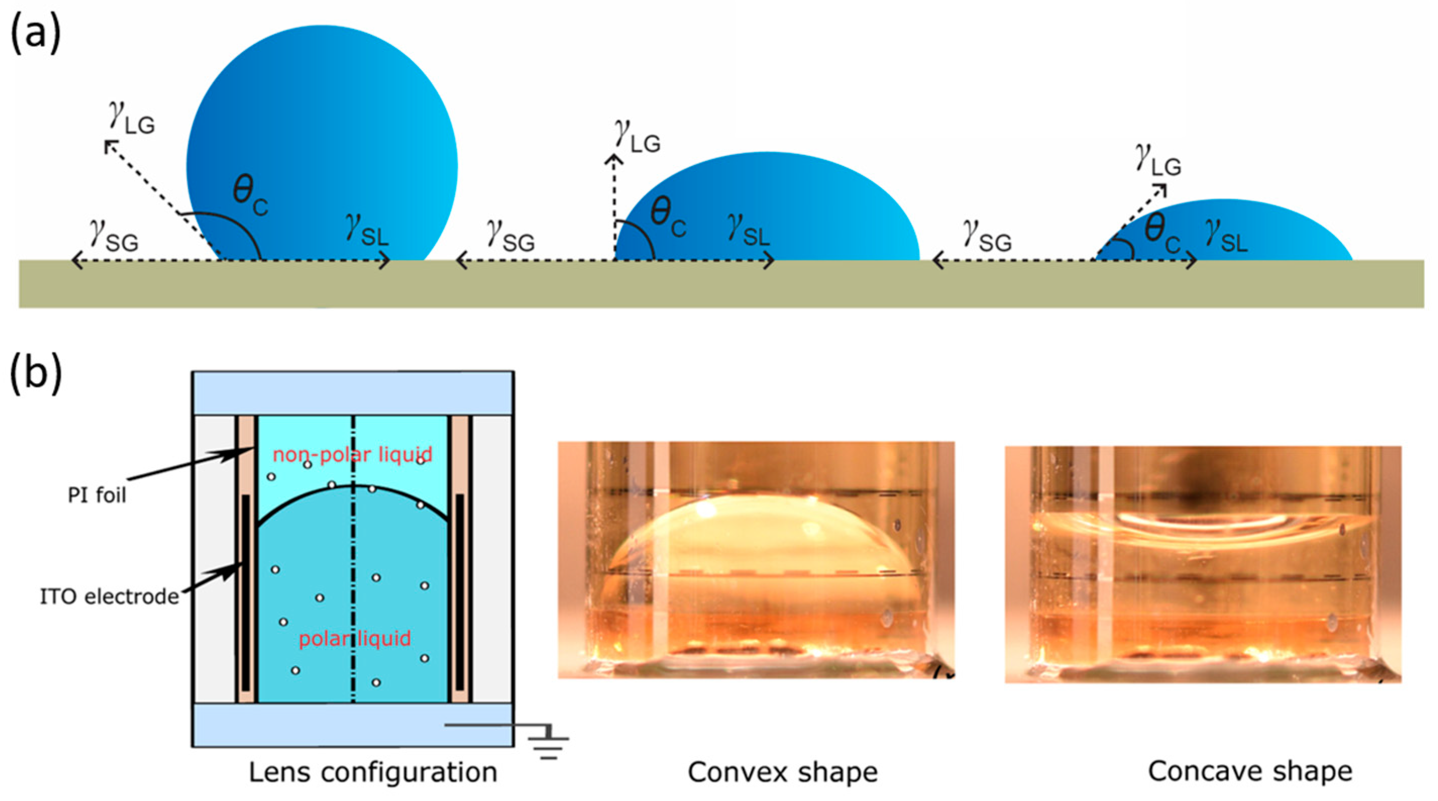 Micromachines 16 01158 g001 Micromachines 16 01158 g001