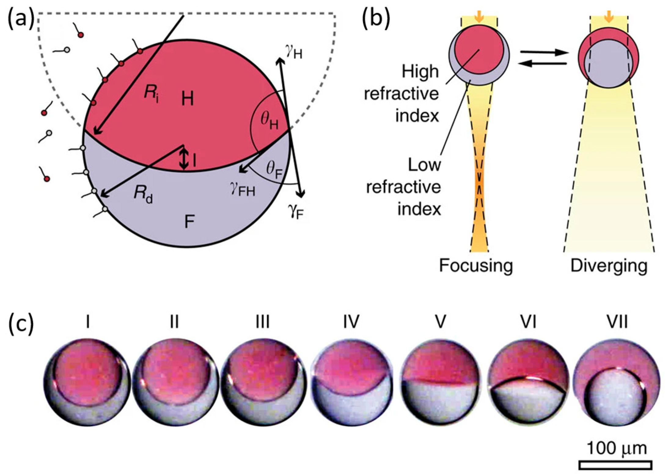 Micromachines 16 01158 g002 Micromachines 16 01158 g002