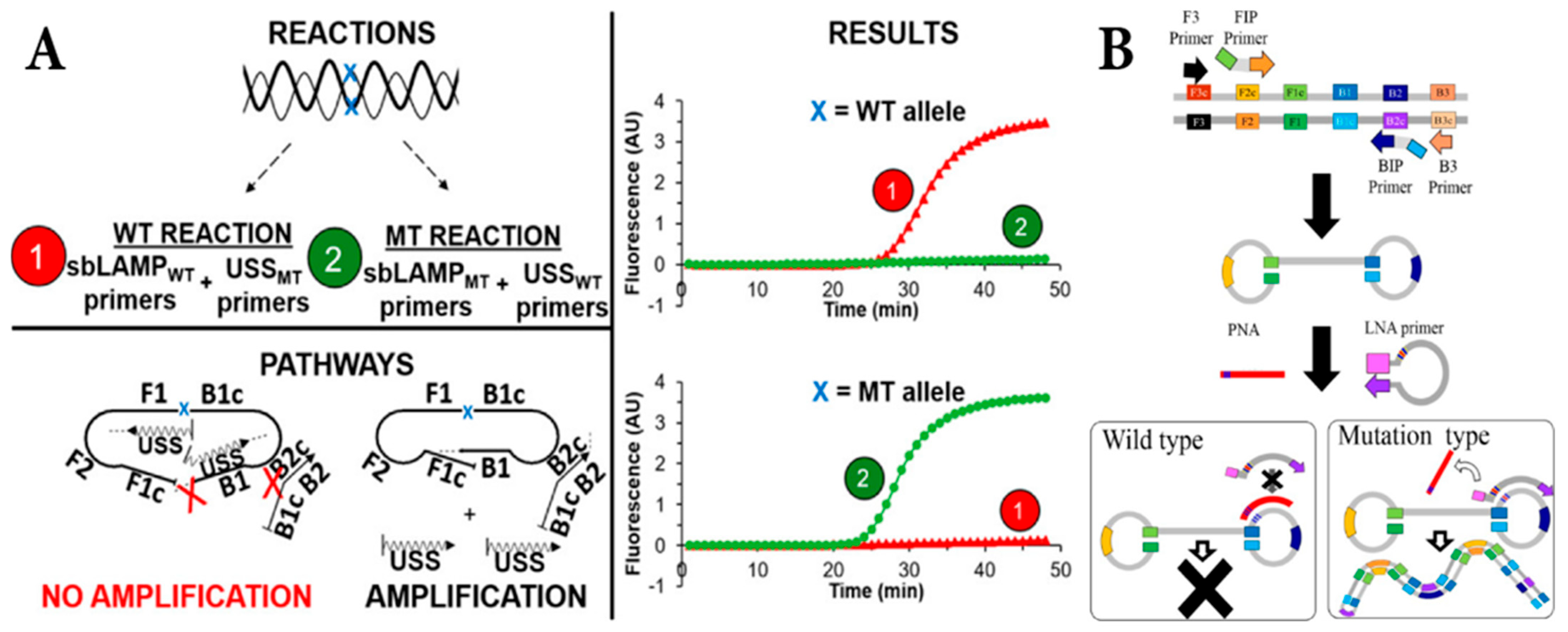 Micromachines 16 01159 g001 Micromachines 16 01159 g001