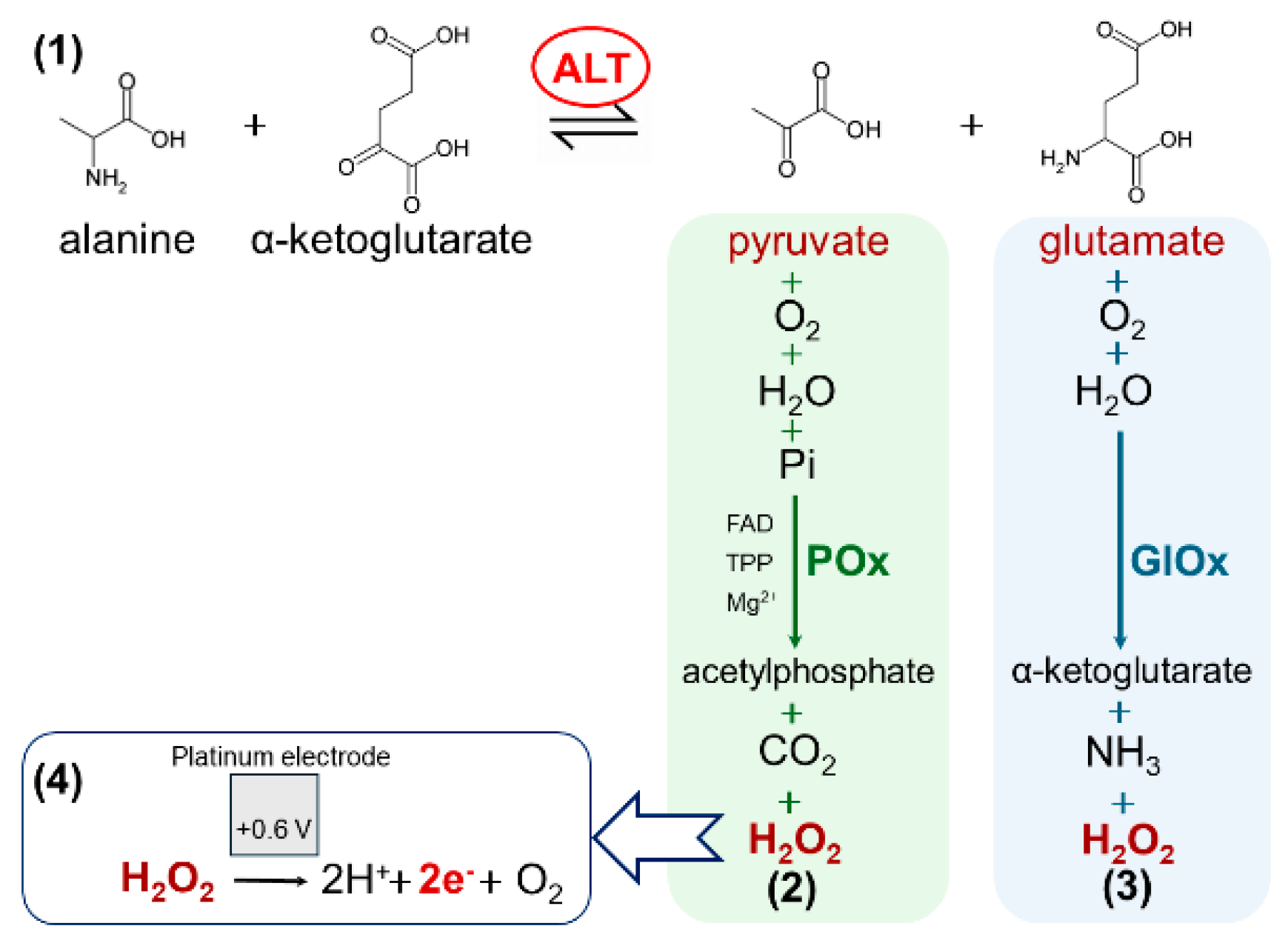 Micromachines 16 01168 g001 Micromachines 16 01168 g001