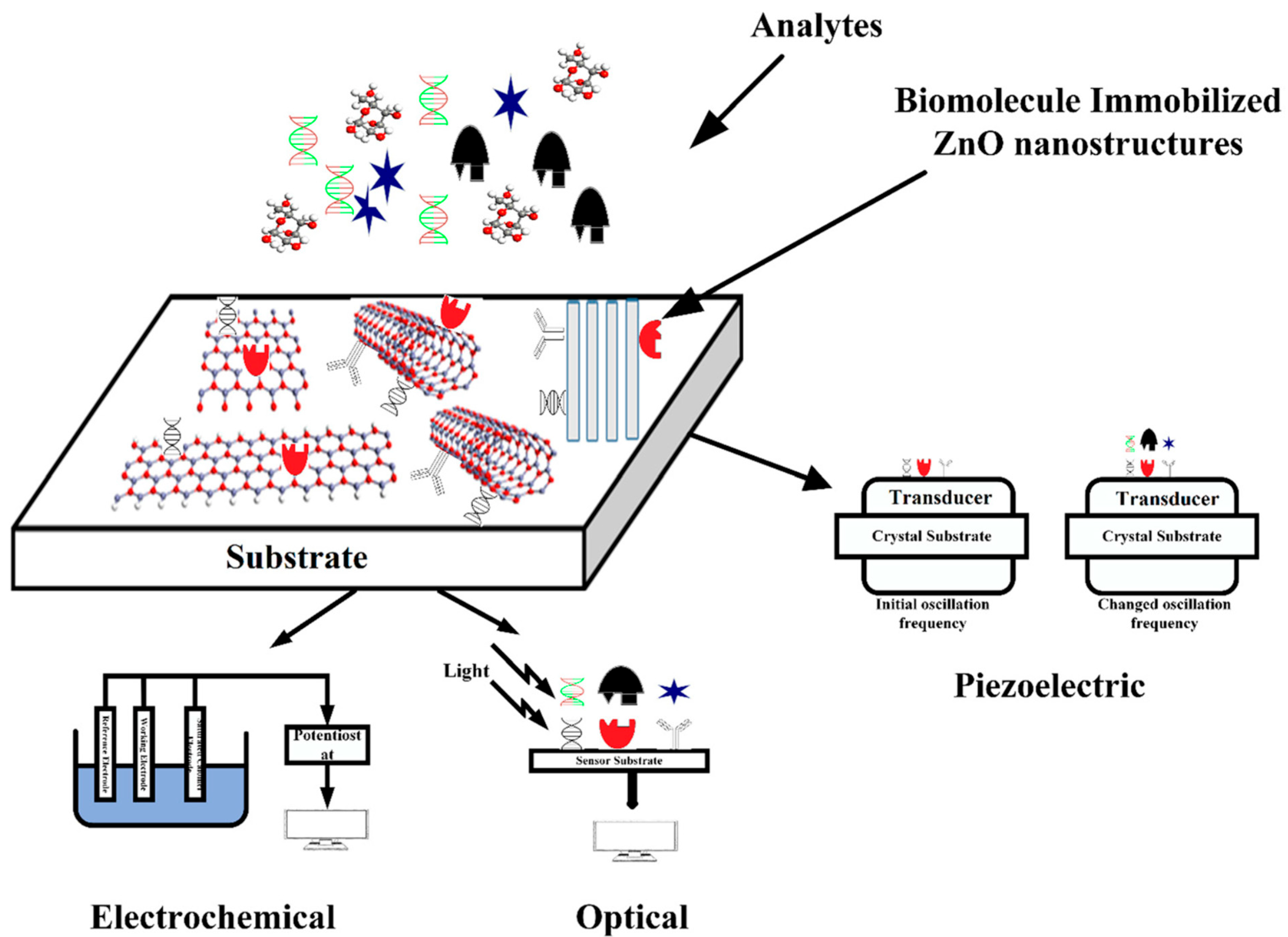 Micromachines 16 01179 g002