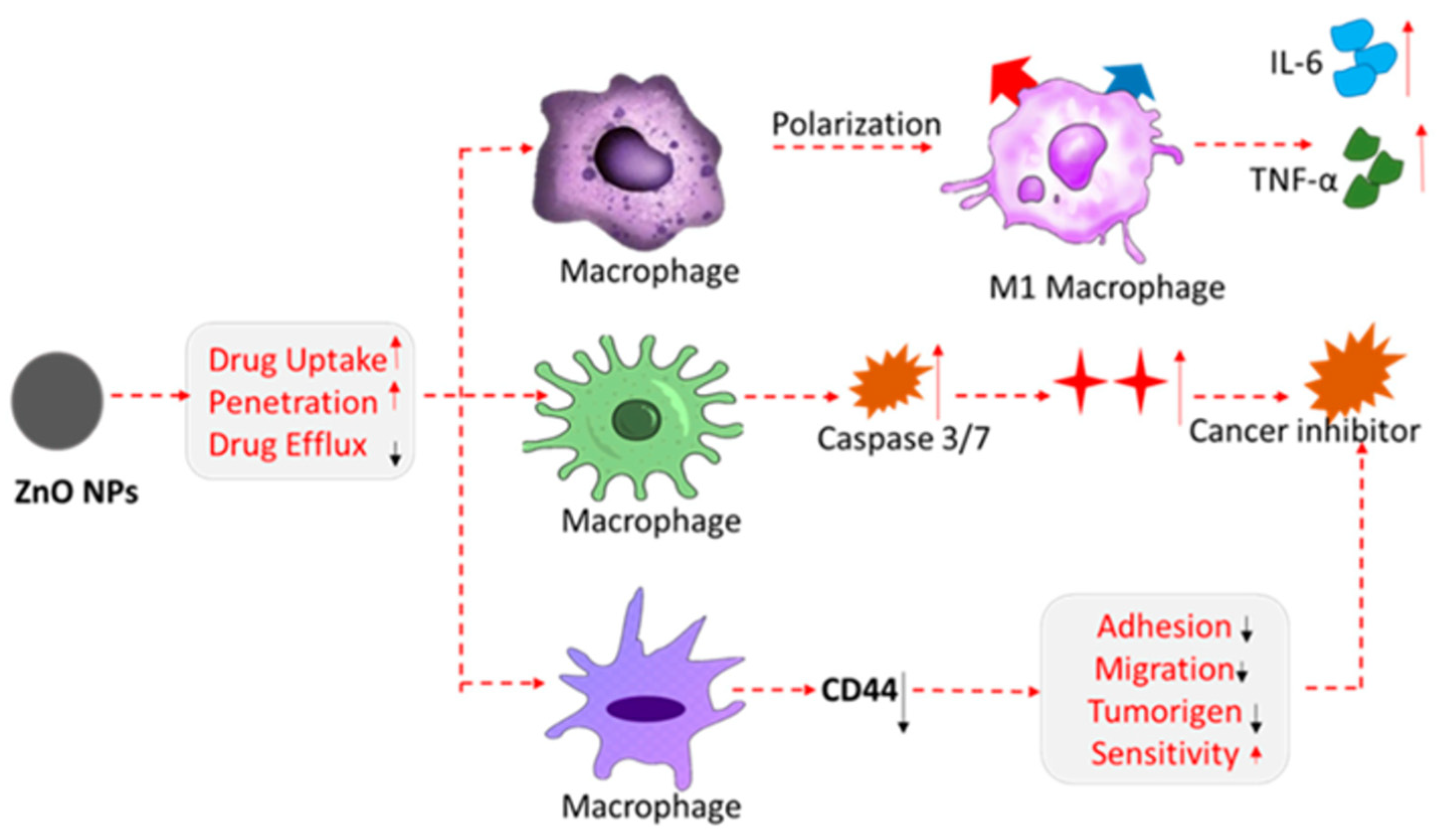 Micromachines 16 01179 g003