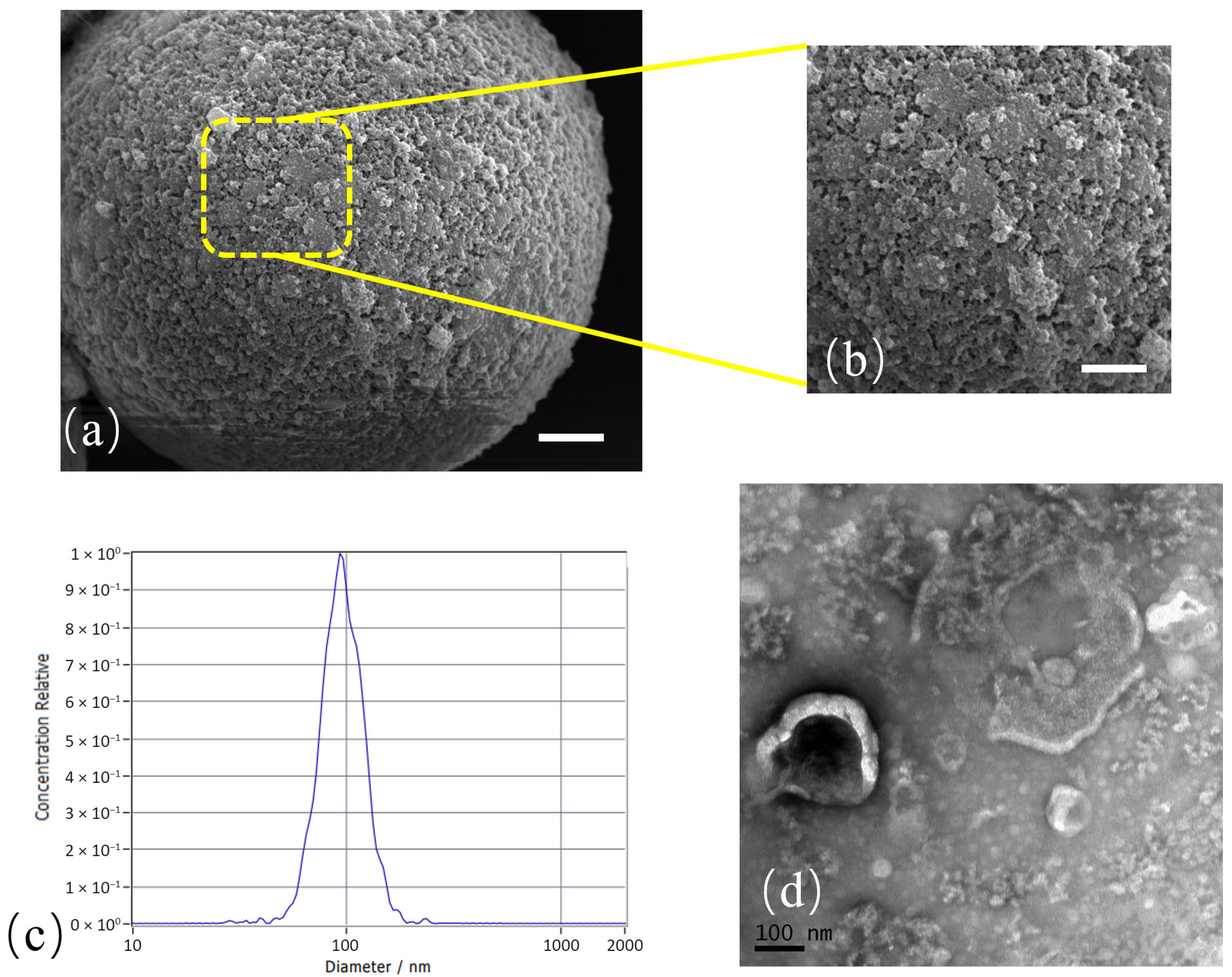 Micromachines 16 01208 g003 Micromachines 16 01208 g003