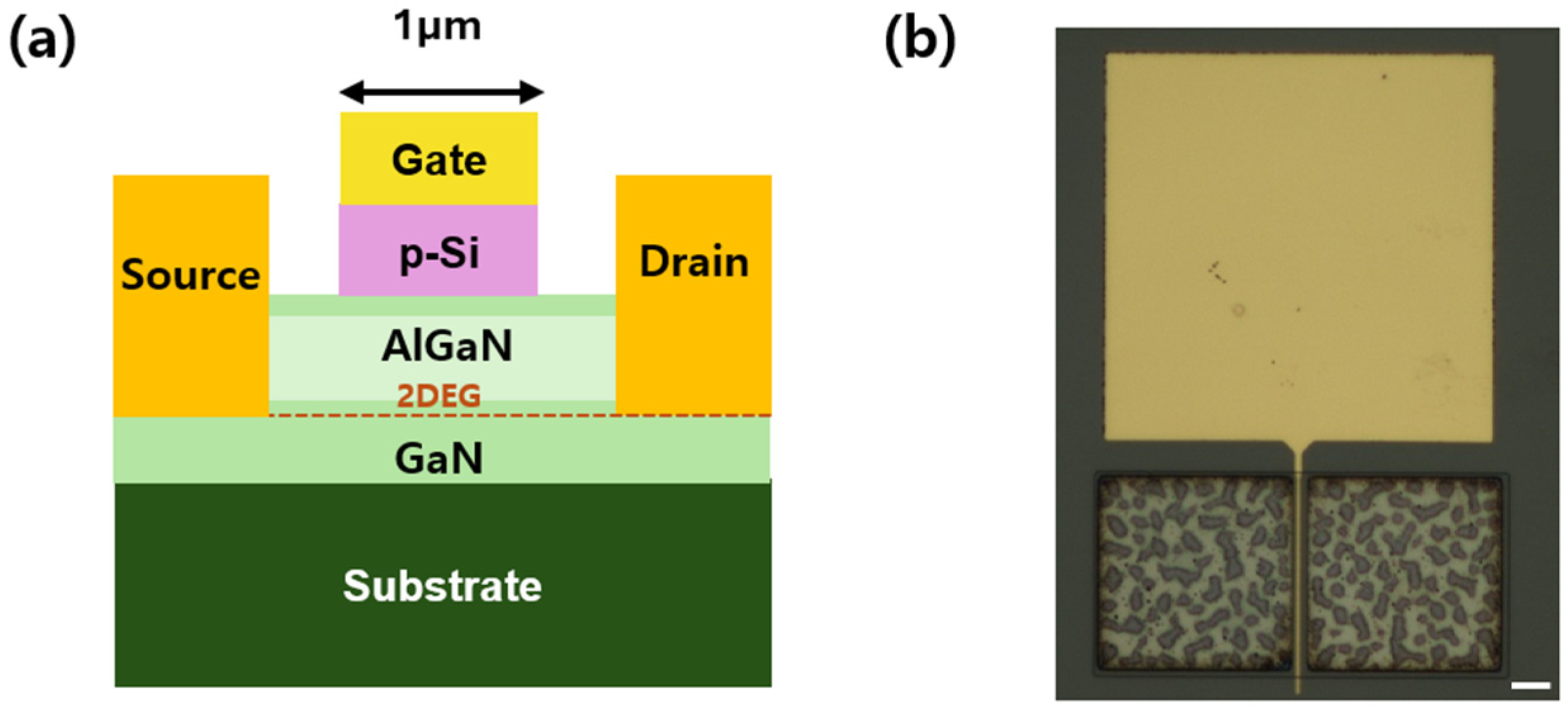 Micromachines 16 01214 g002 Micromachines 16 01214 g002