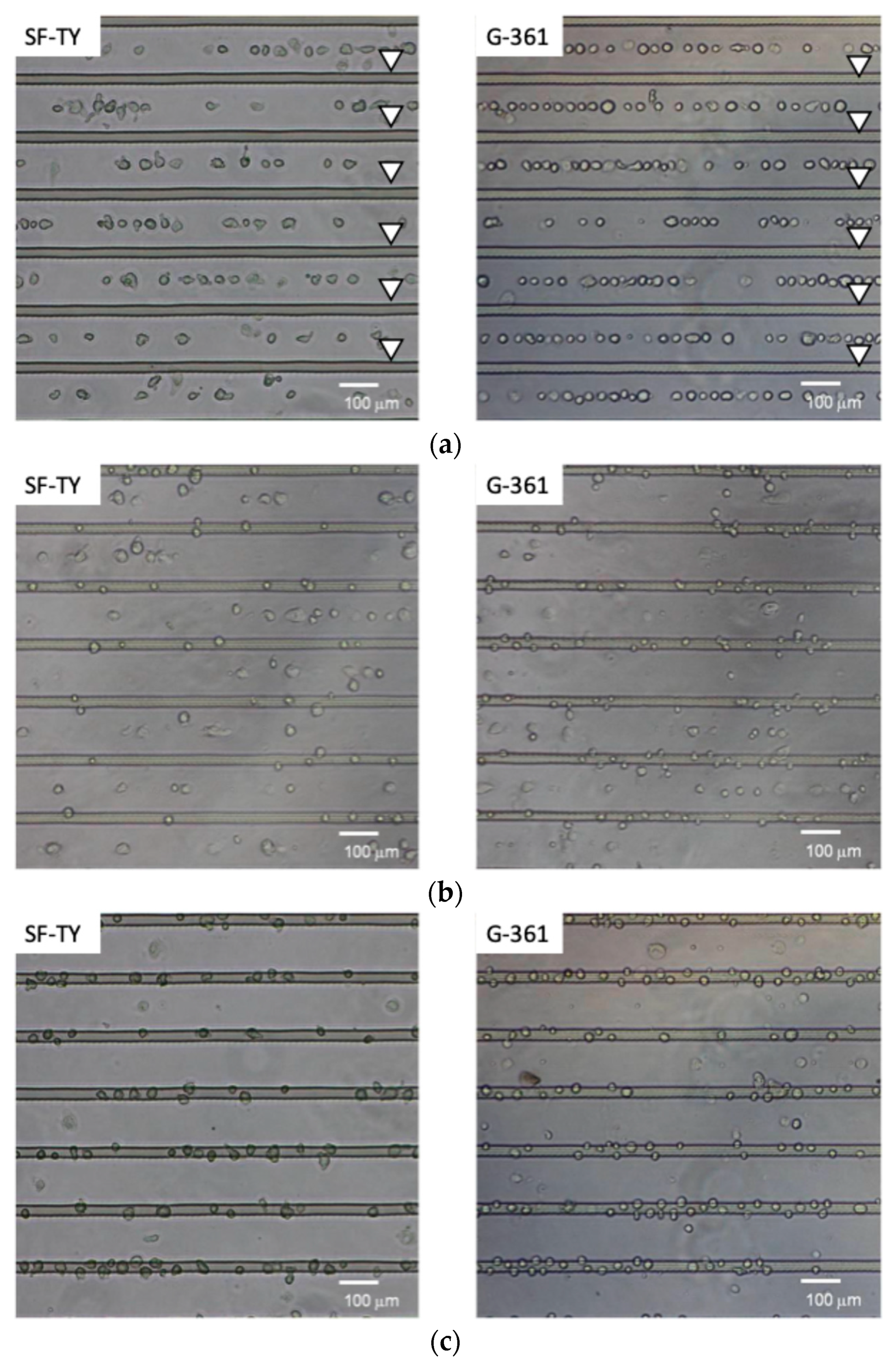 Micromachines 16 01232 g004