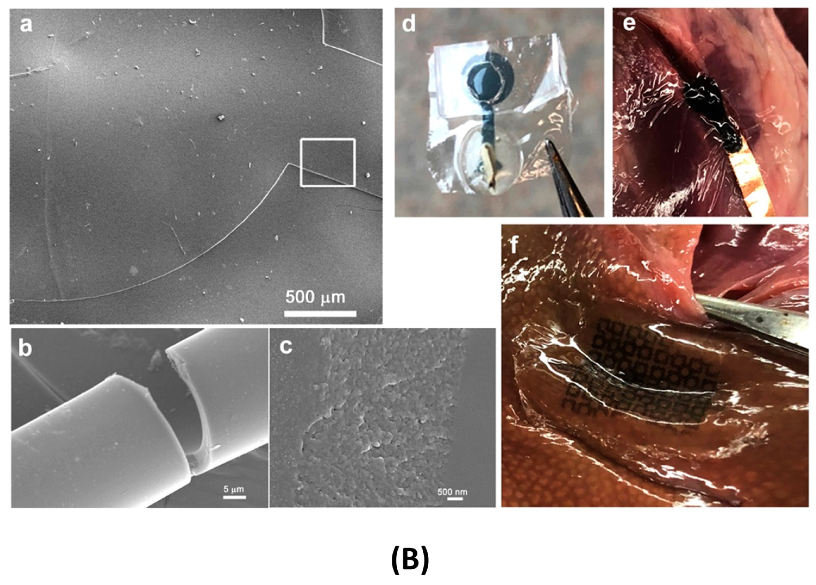 Micromachines 16 01244 g001b