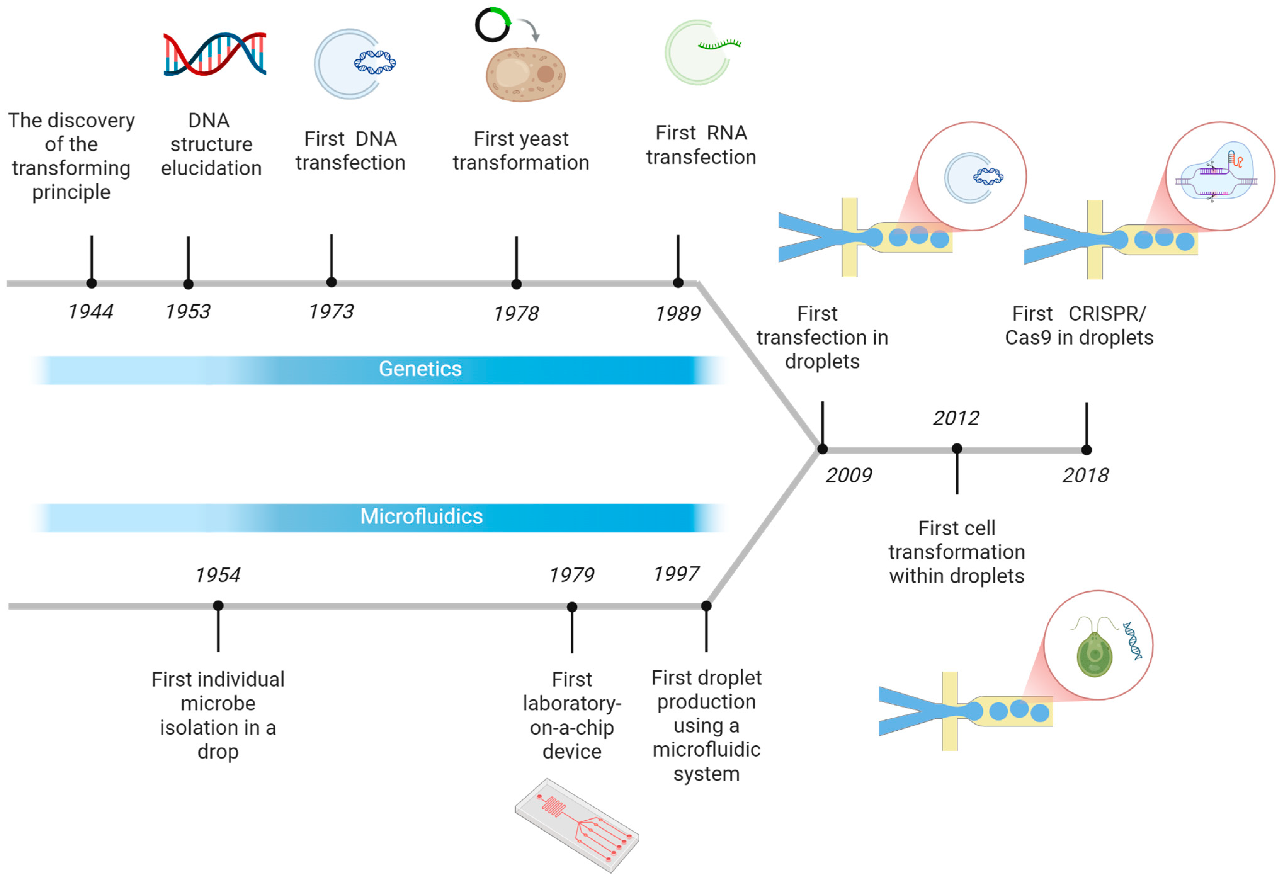 Micromachines 16 01245 g001 Micromachines 16 01245 g001