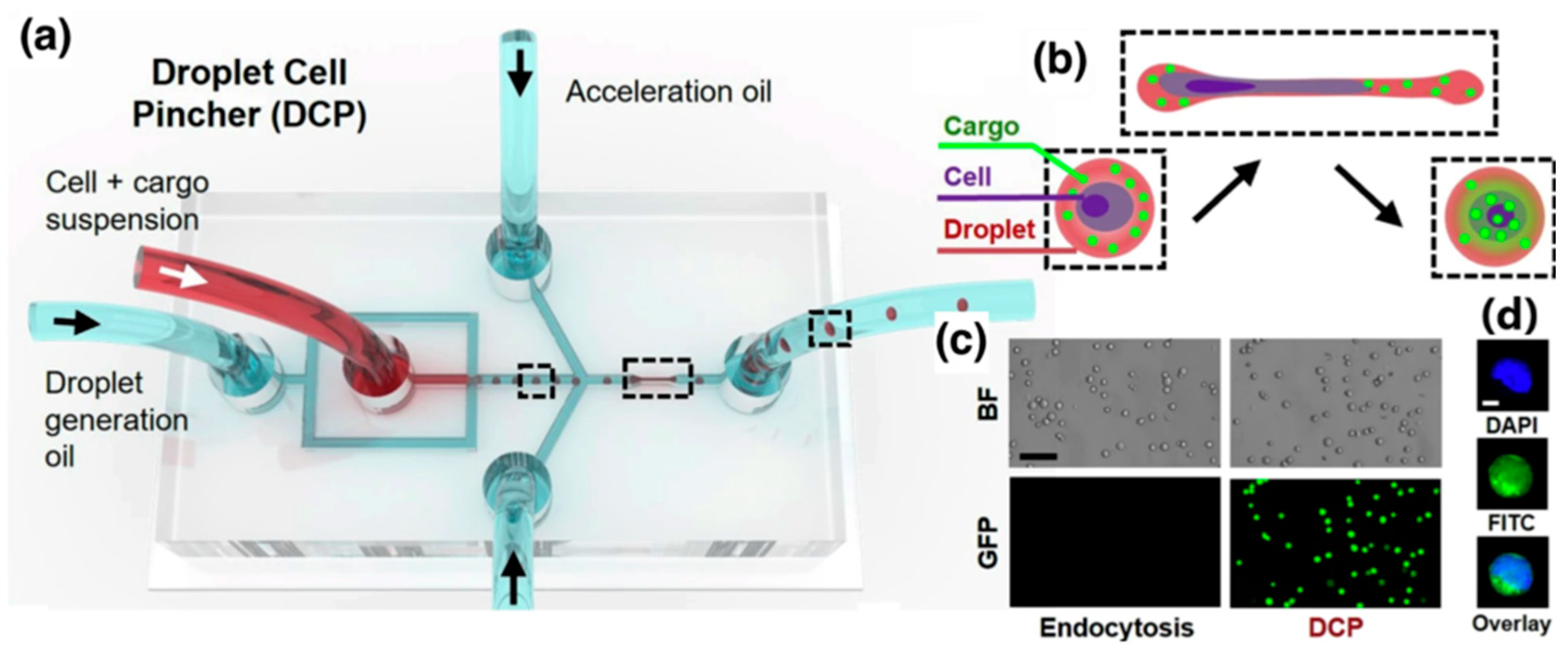 Micromachines 16 01245 g005 Micromachines 16 01245 g005