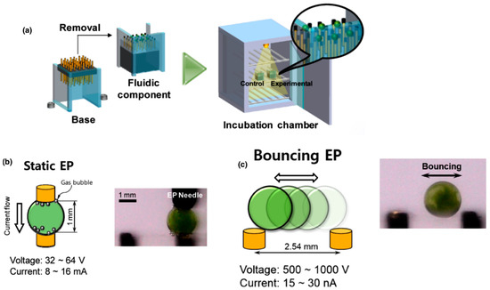 Microdroplet Systems for Gene Transfer: From Fundamentals to