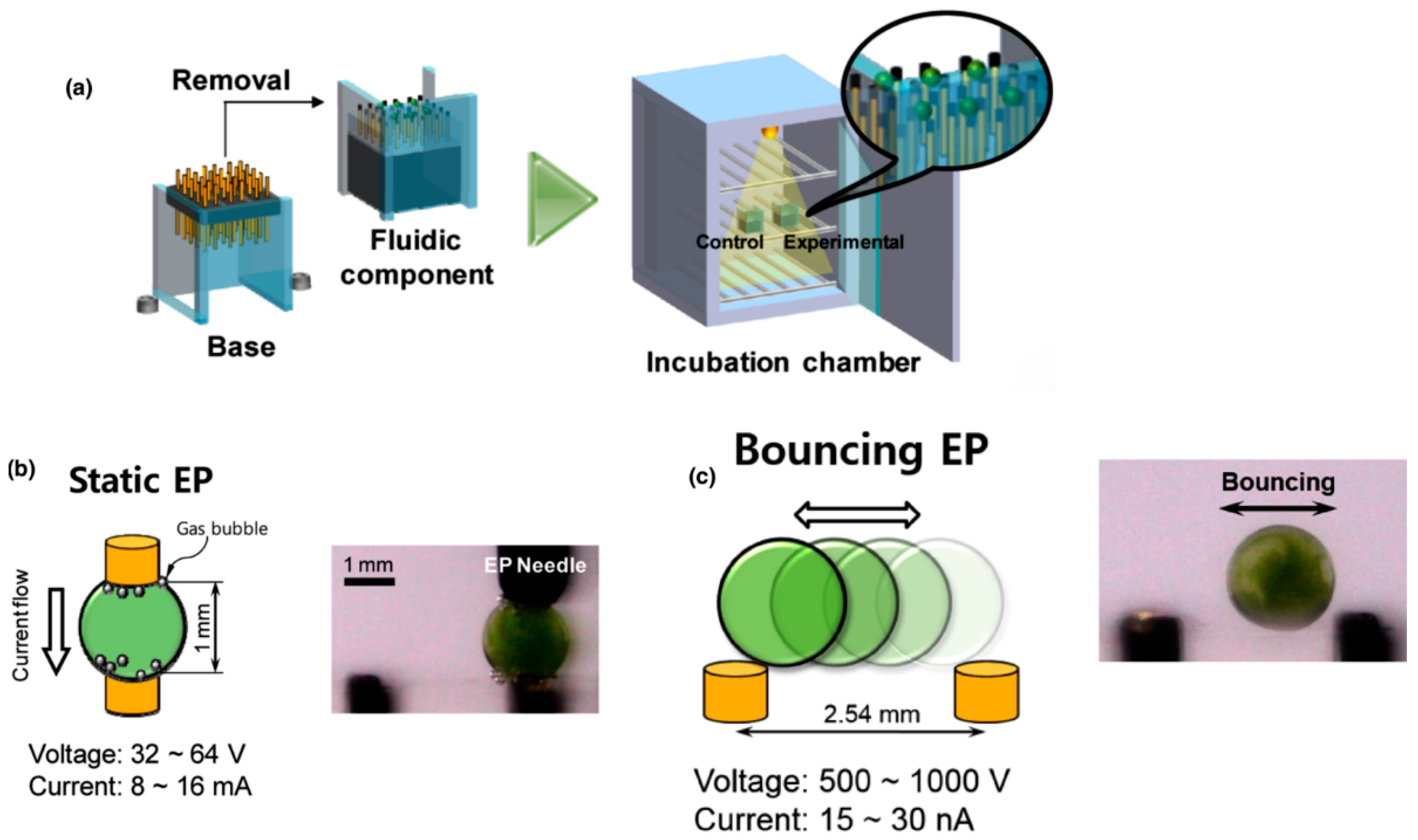 Micromachines 16 01245 g006 Micromachines 16 01245 g006