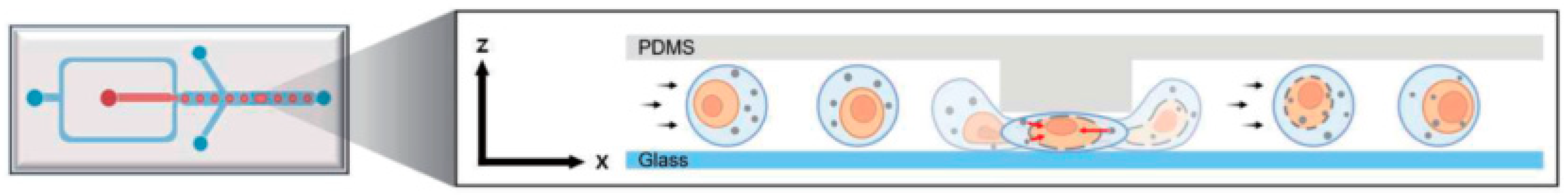 Micromachines 16 01245 g012 Micromachines 16 01245 g012