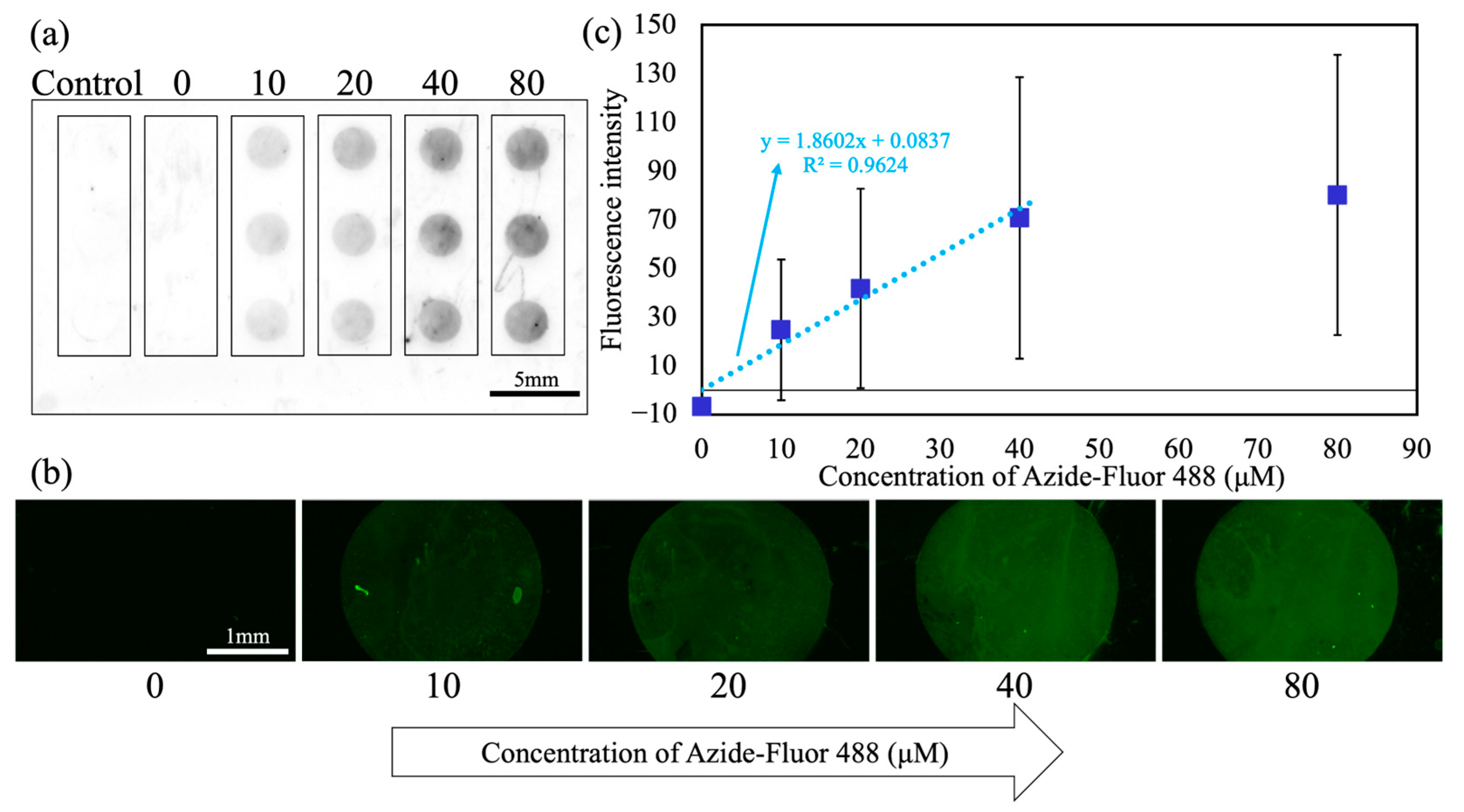 Micromachines 16 01270 g003 Micromachines 16 01270 g003