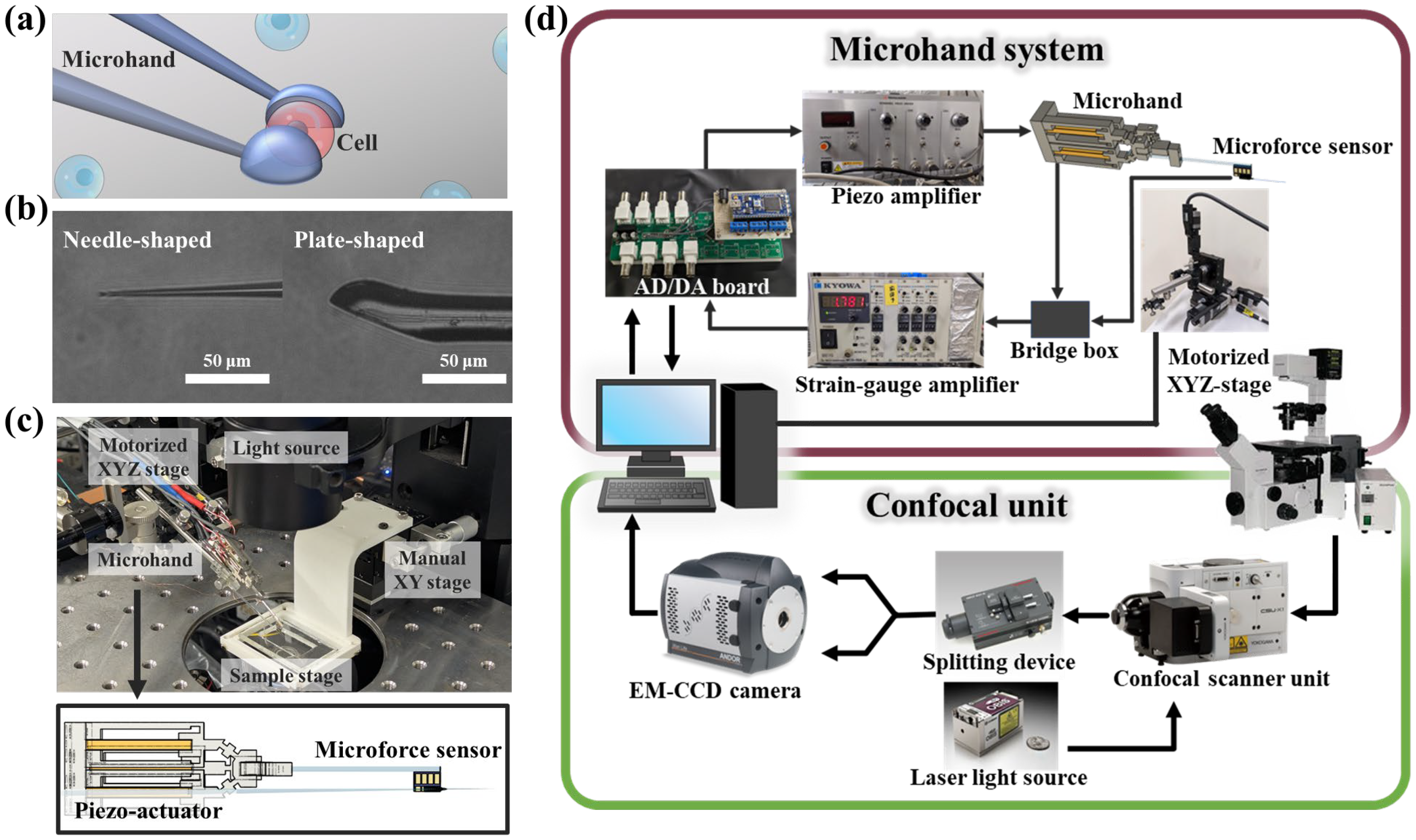 Micromachines 16 01272 g001 Micromachines 16 01272 g001