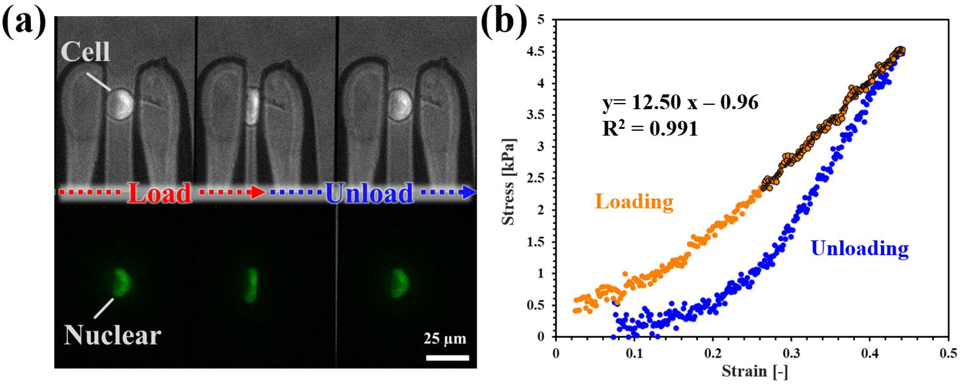 Micromachines 16 01272 g003 Micromachines 16 01272 g003