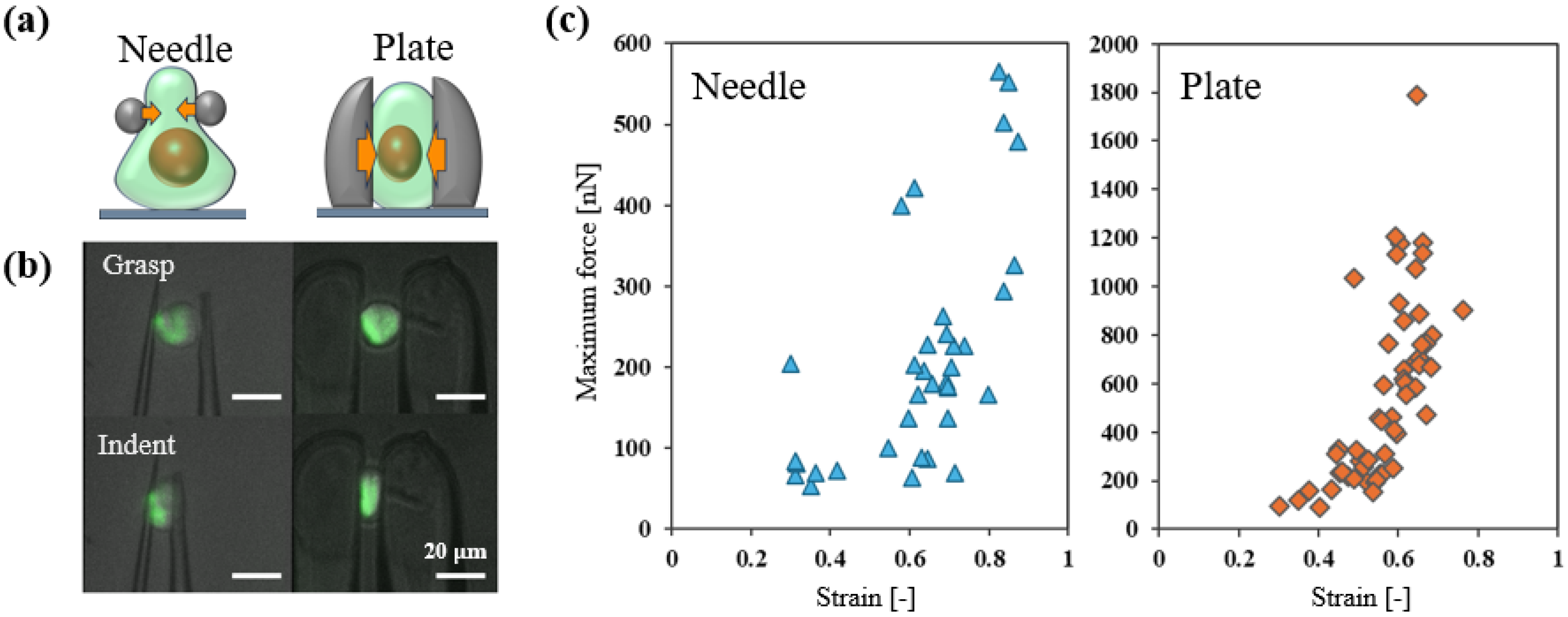 Micromachines 16 01272 g004 Micromachines 16 01272 g004