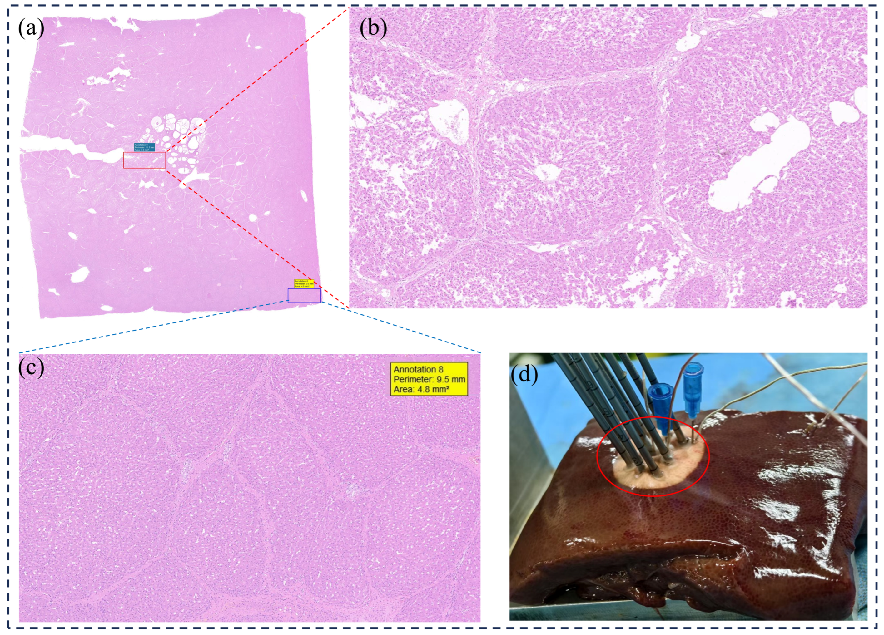 Micromachines 16 01321 g010