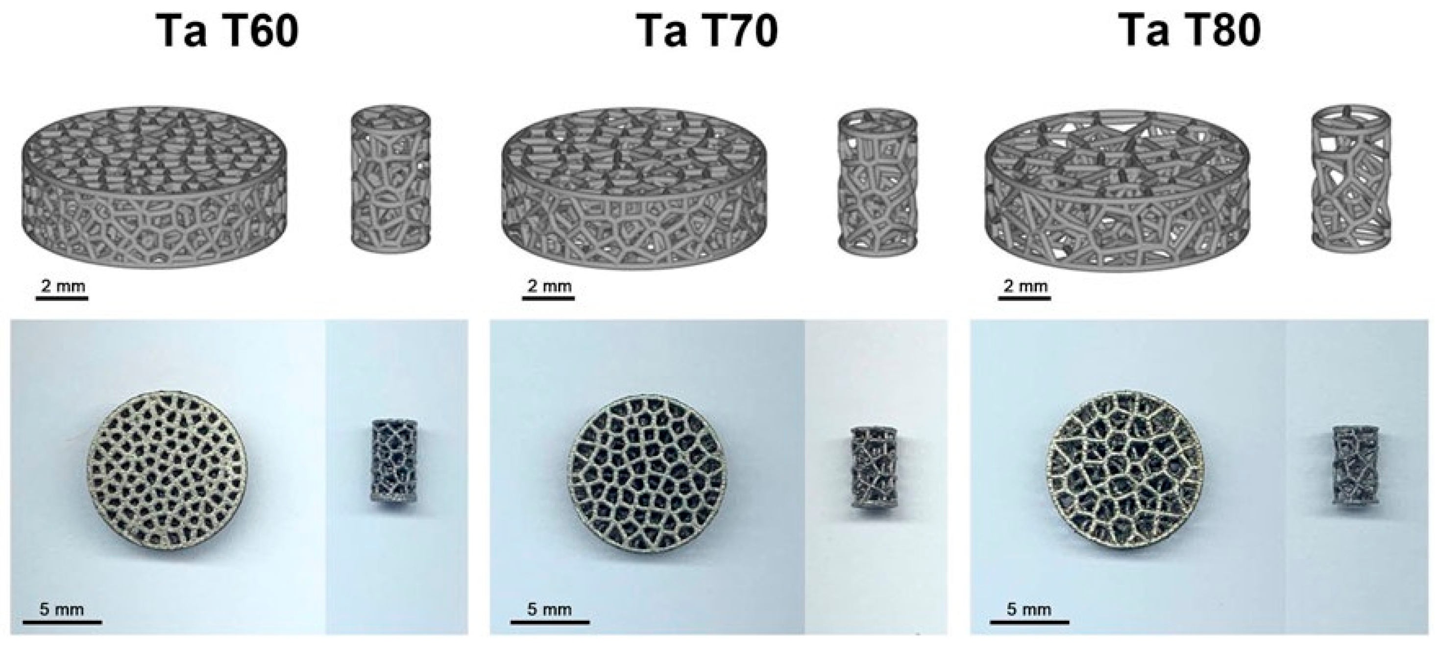 Micromachines 16 01339 g005 Micromachines 16 01339 g005
