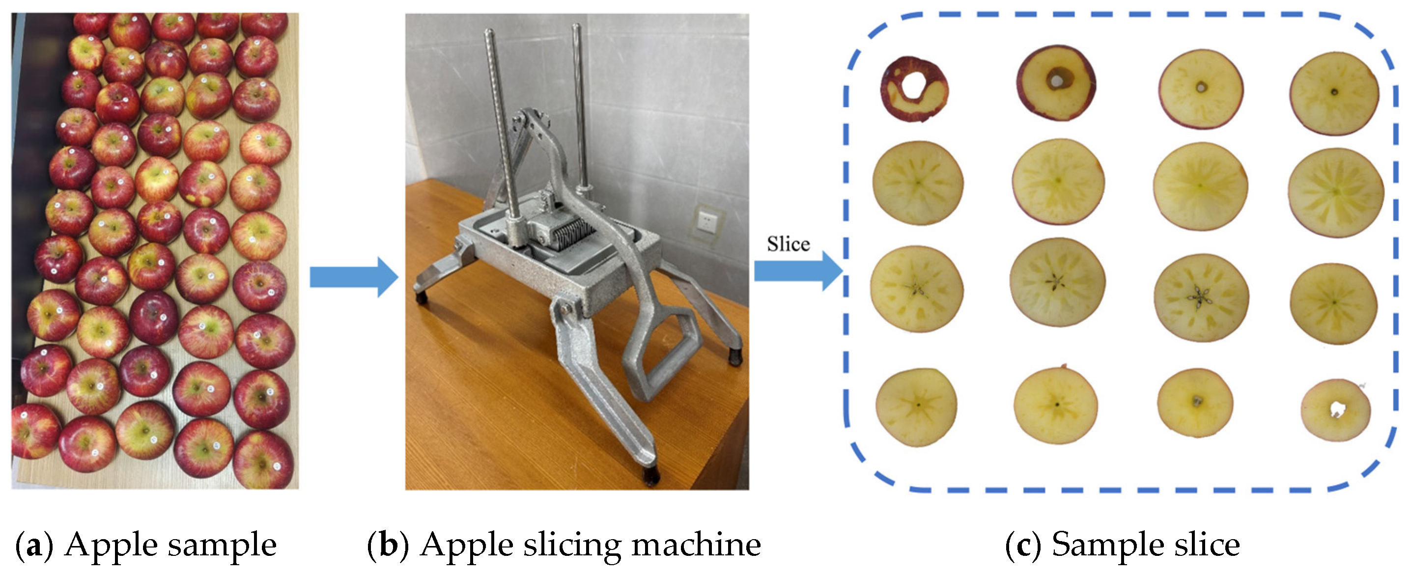 Micromachines 16 01357 g005 Micromachines 16 01357 g005