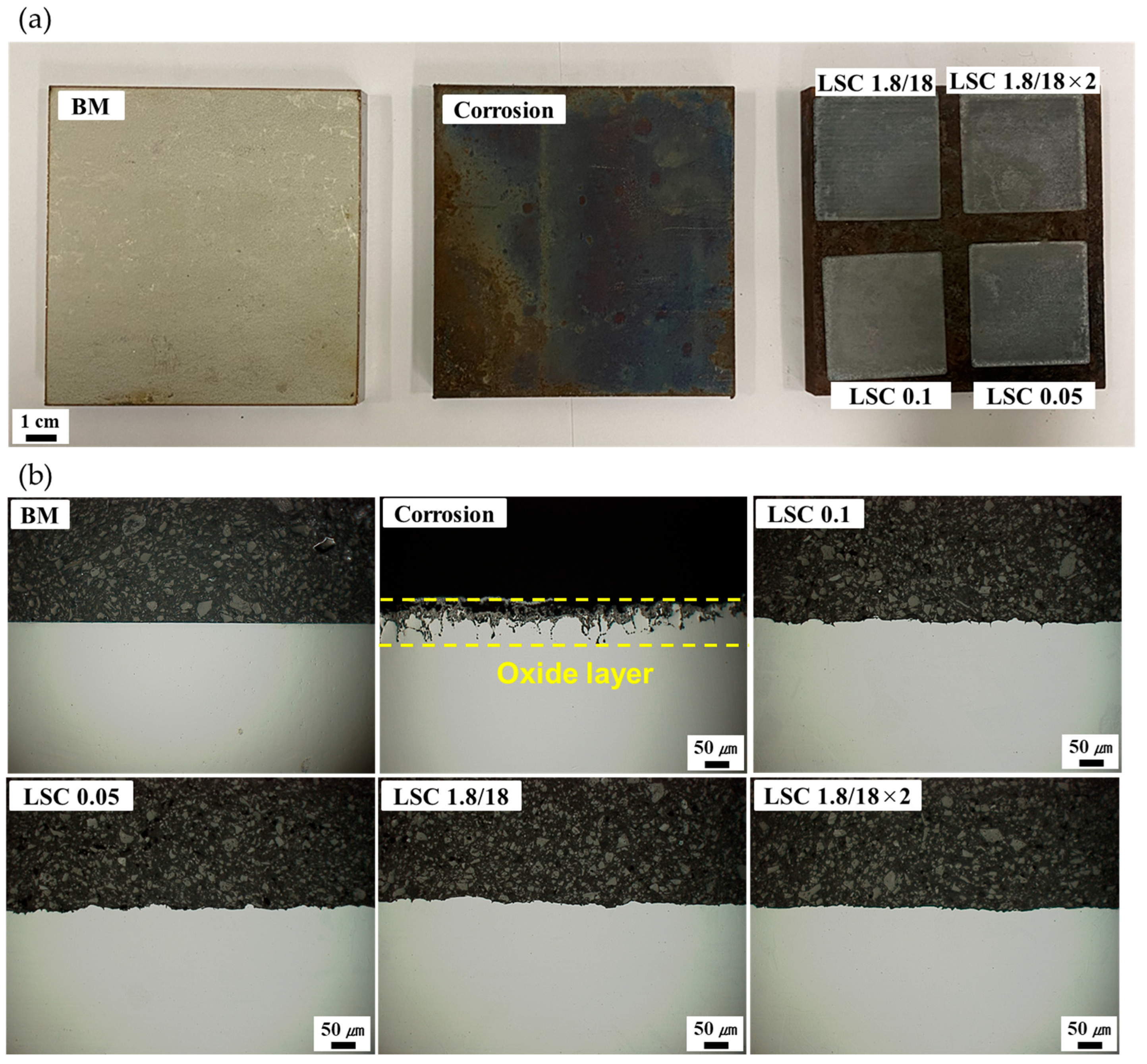 Micromachines 16 01366 g003 Micromachines 16 01366 g003