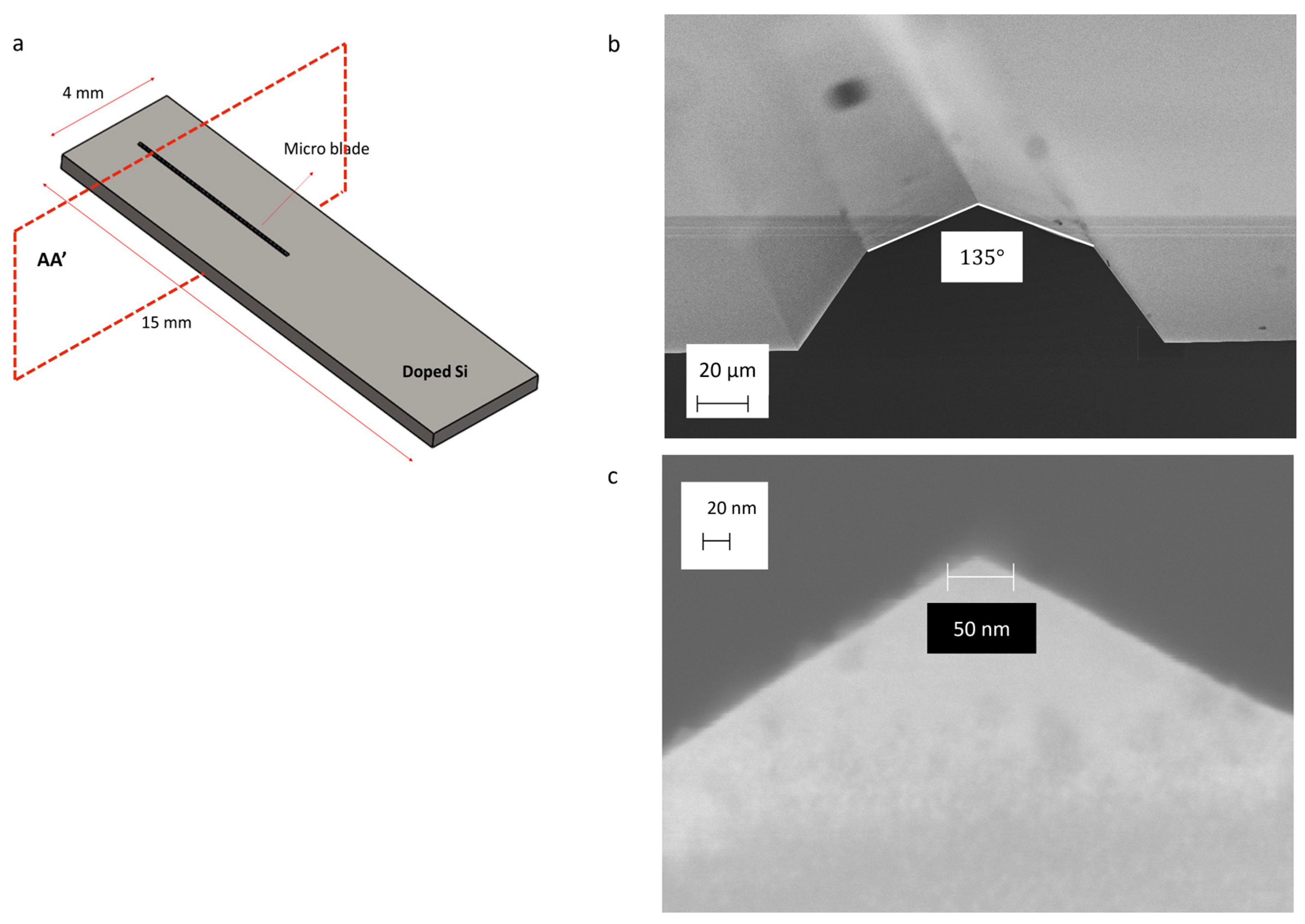 Micromachines 16 01375 g001