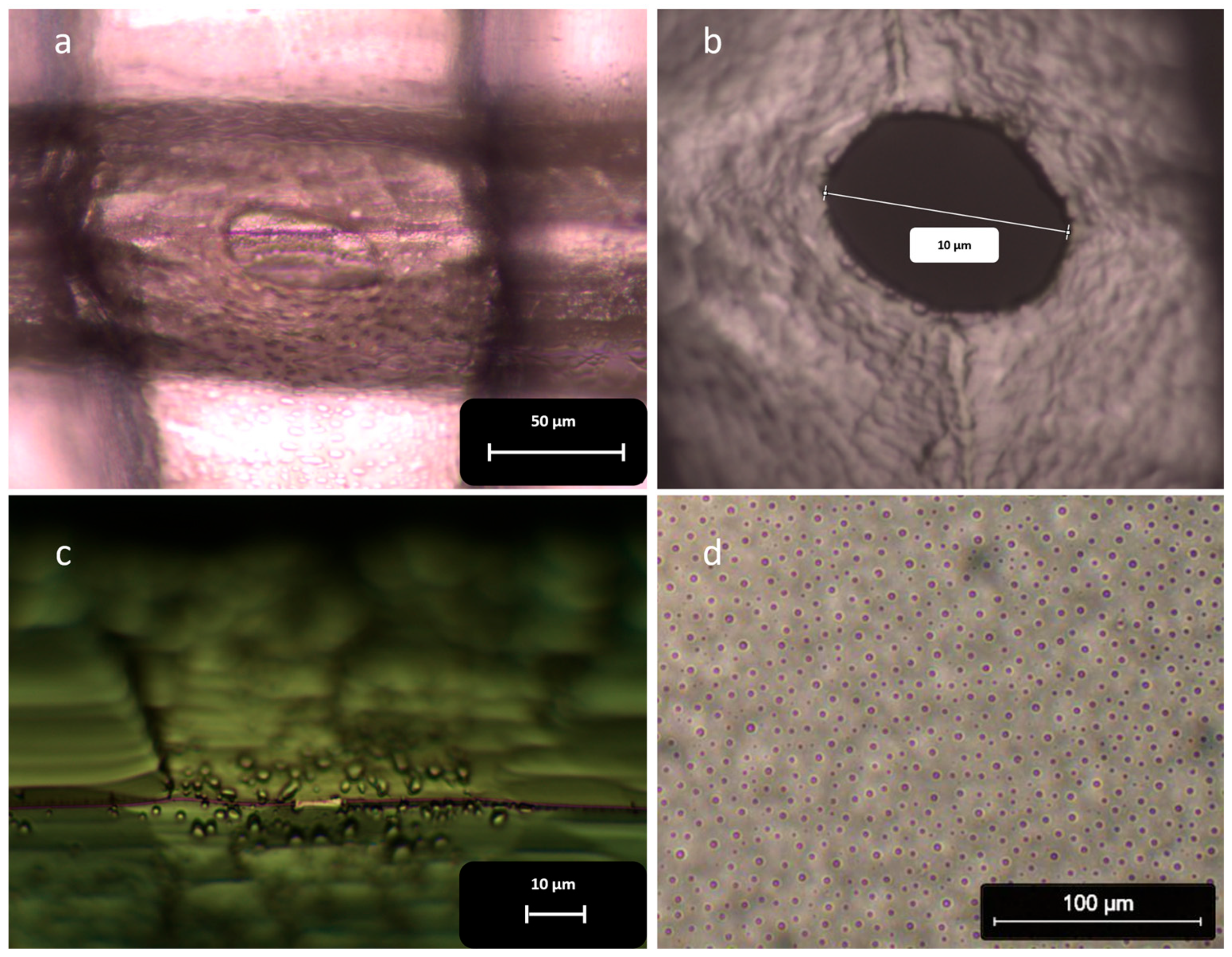 Micromachines 16 01375 g010