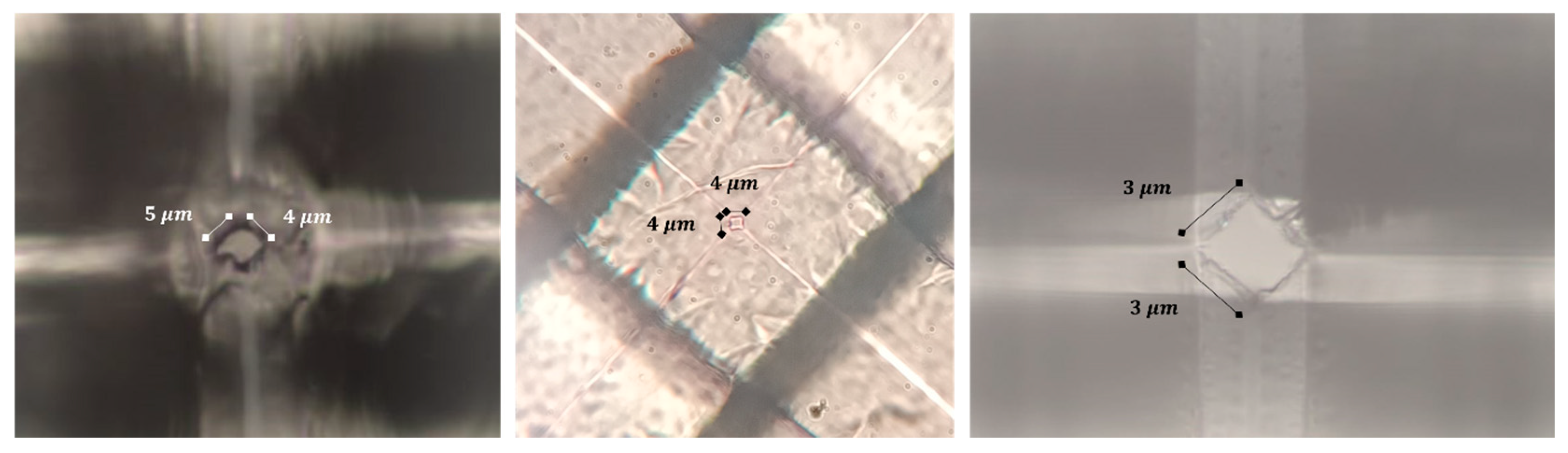 Micromachines 16 01375 g013