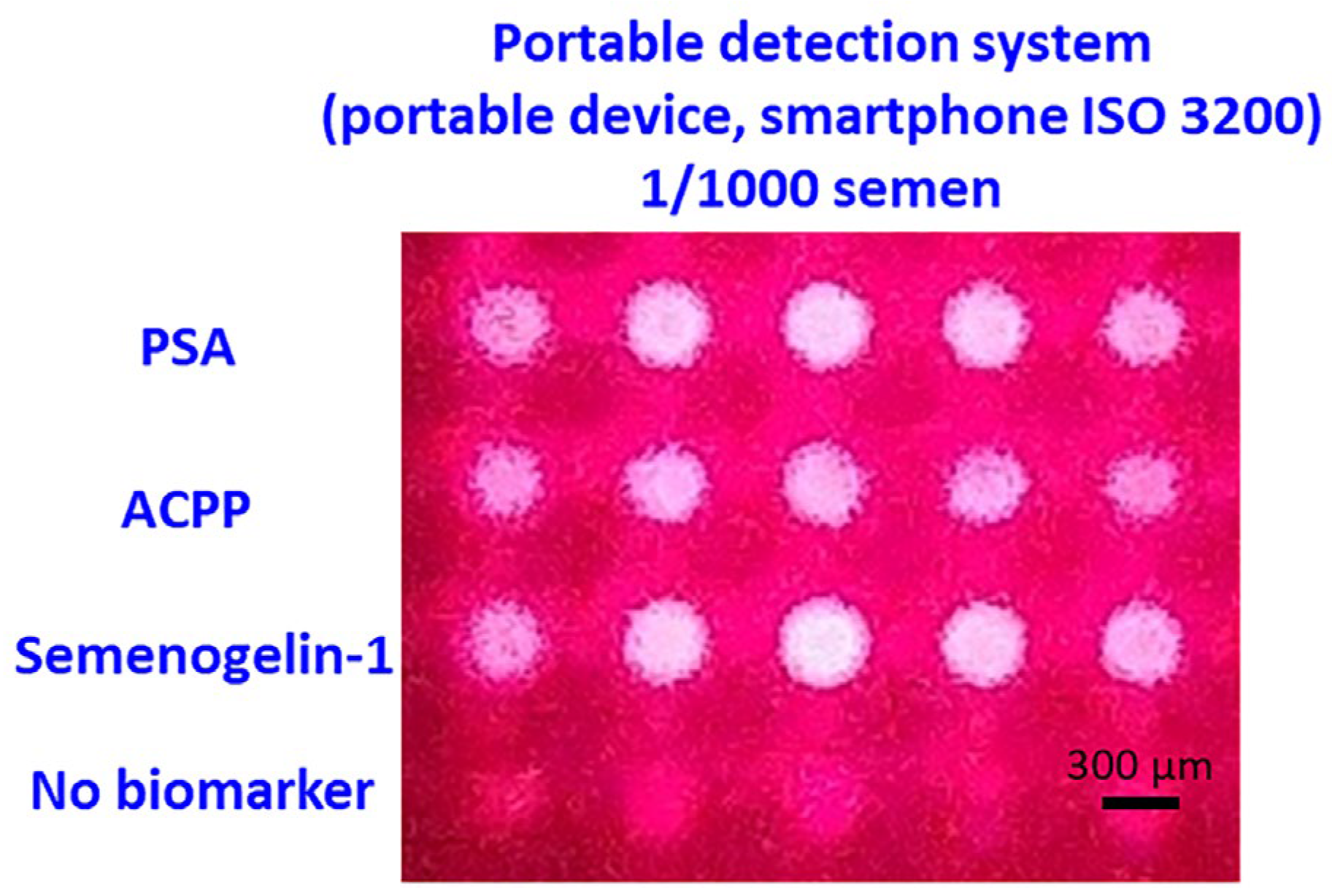 Micromachines 16 01378 g009
