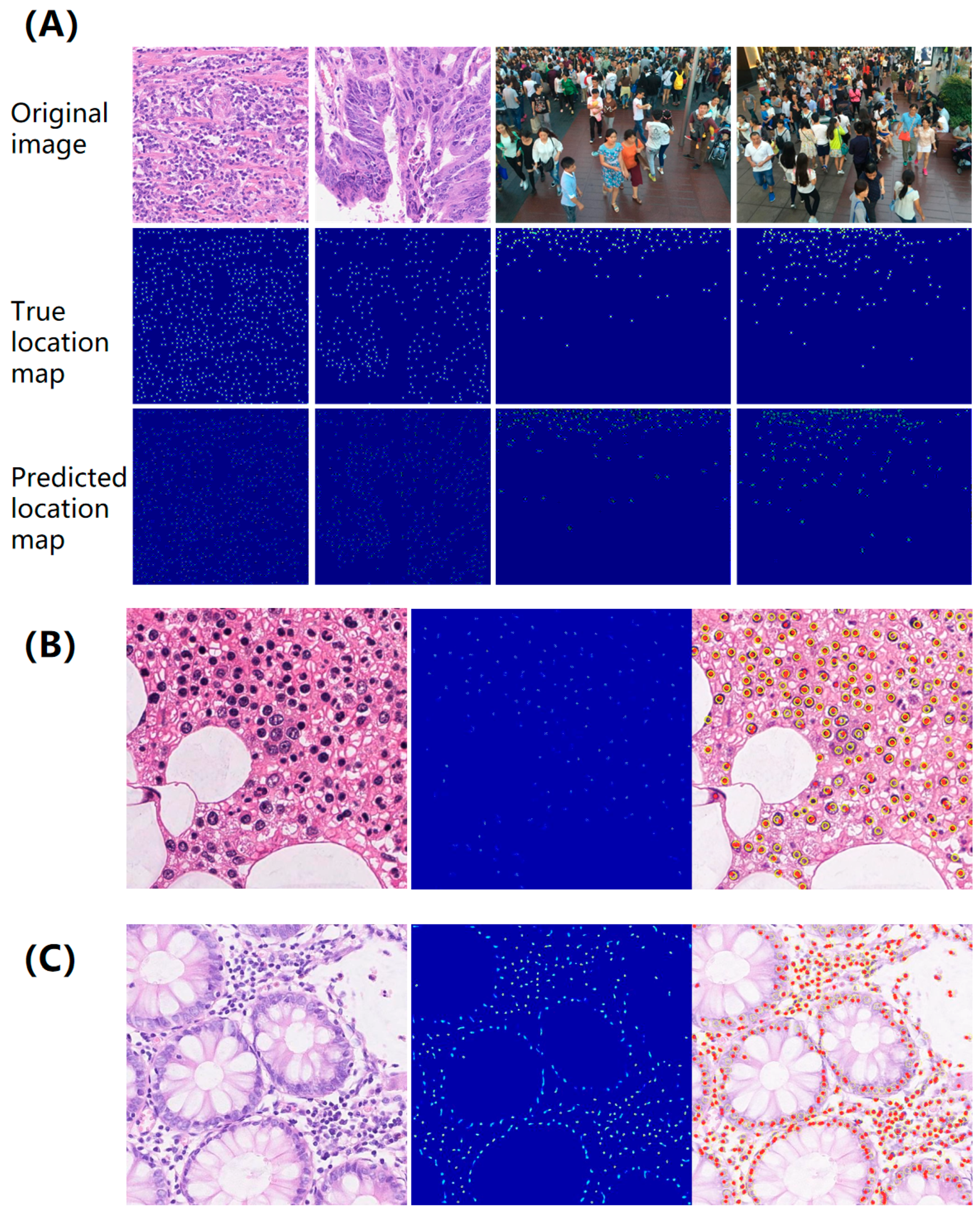 Micromachines 16 01379 g004